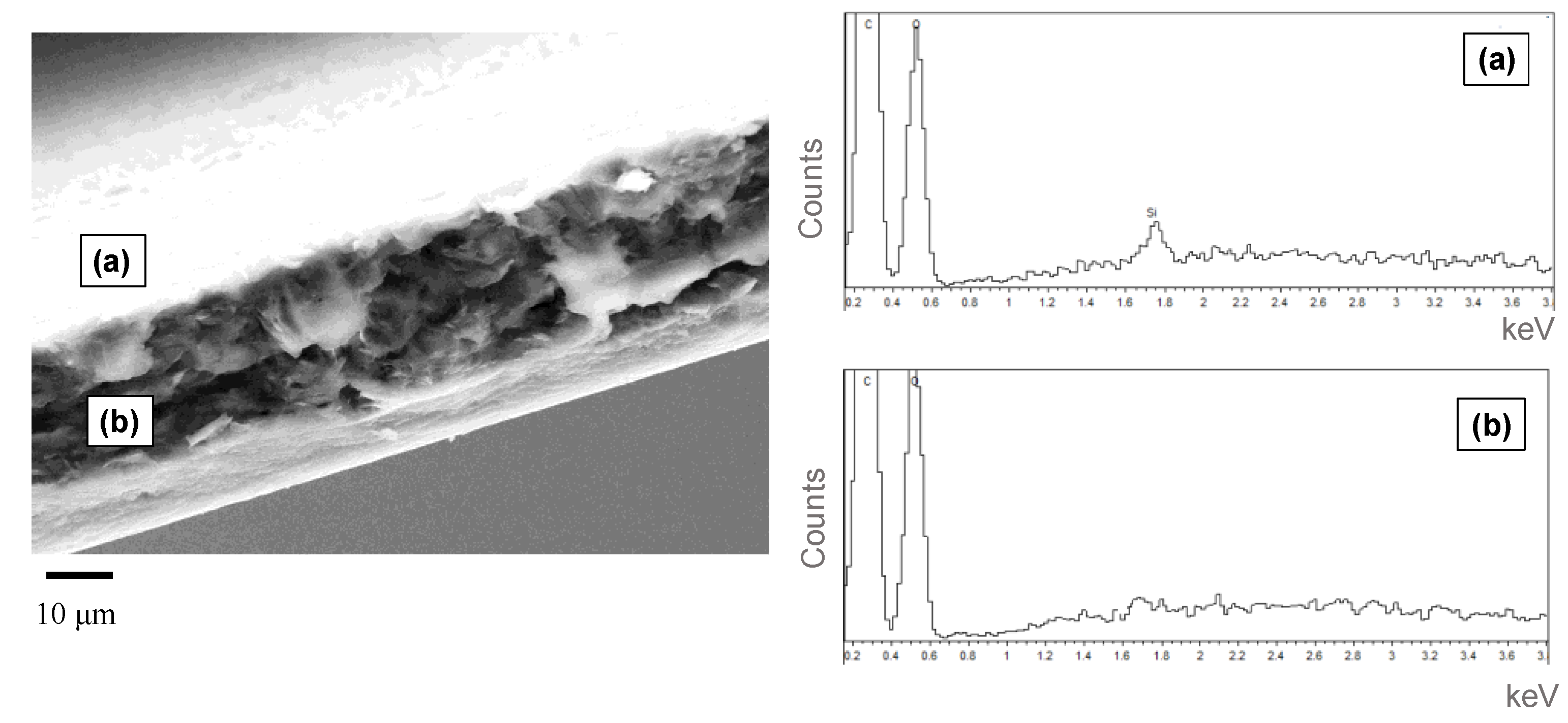 Nanomaterials 09 01144 g002