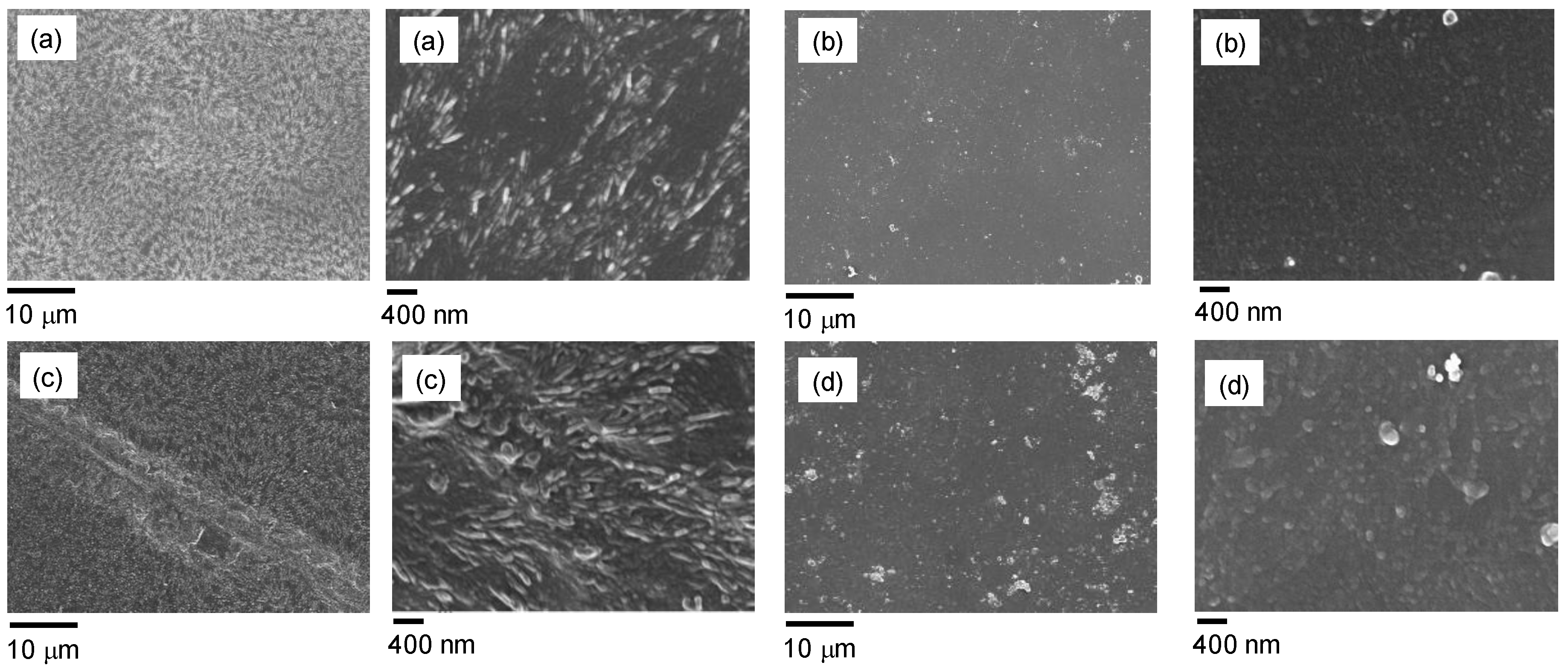 Nanomaterials 09 01144 g004