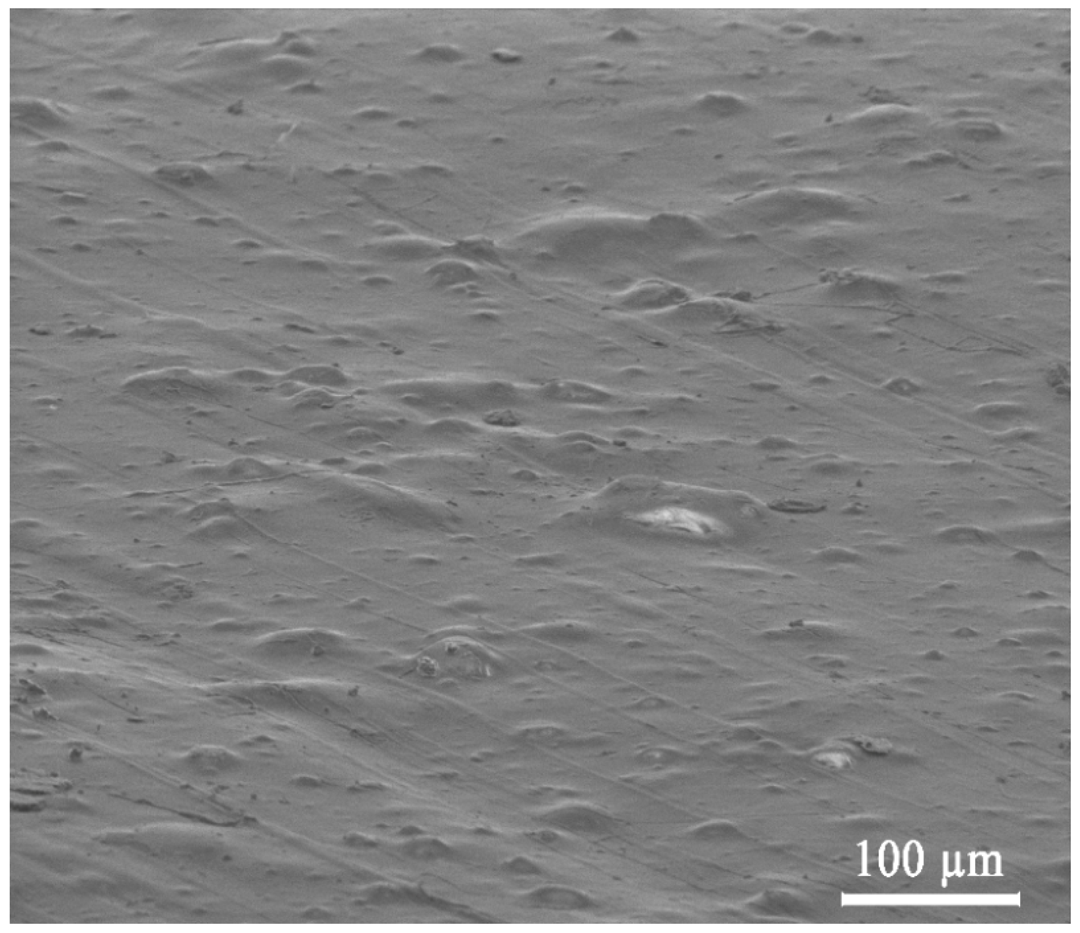 Nanomaterials 09 01146 g002