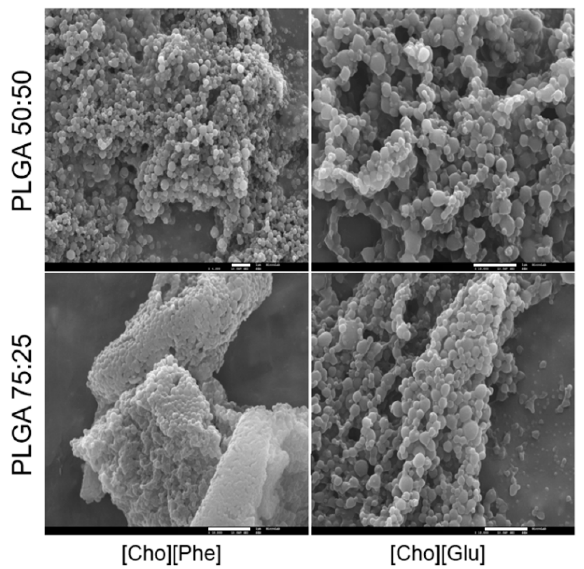 Nanomaterials 09 01148 g005