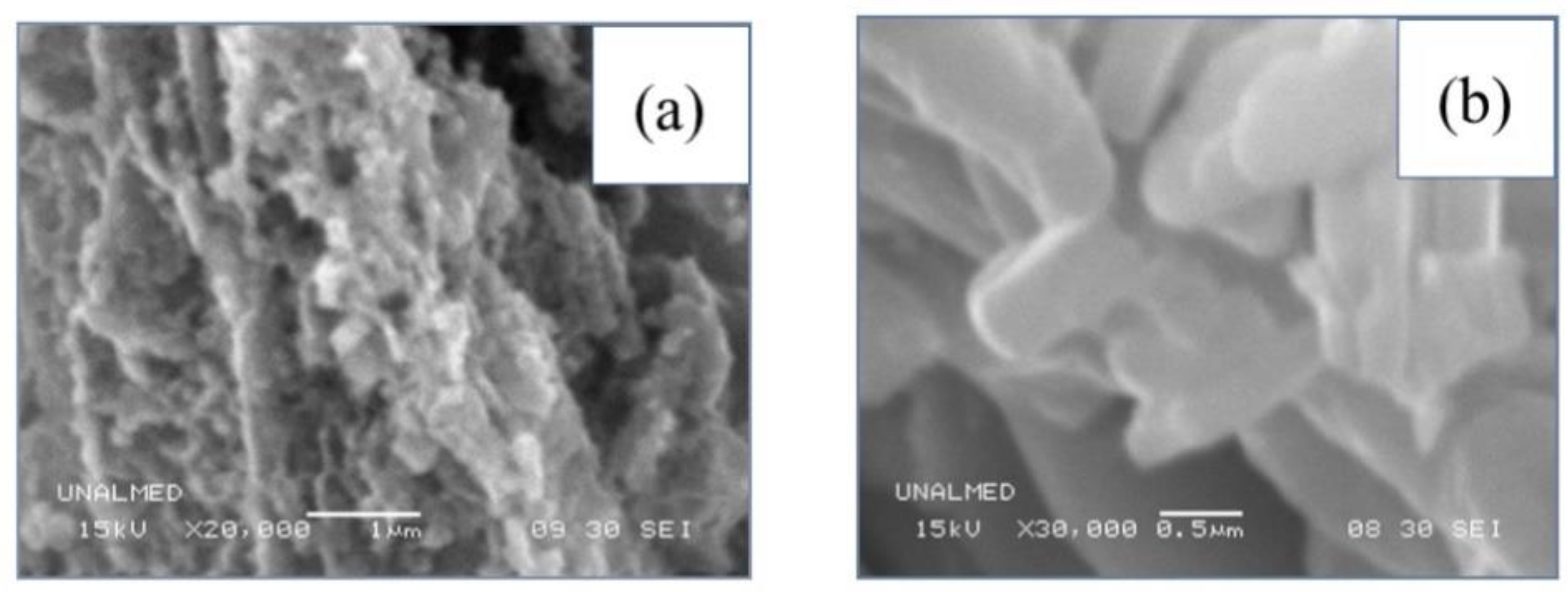 Nanomaterials 09 01156 g003 Nanomaterials 09 01156 g003