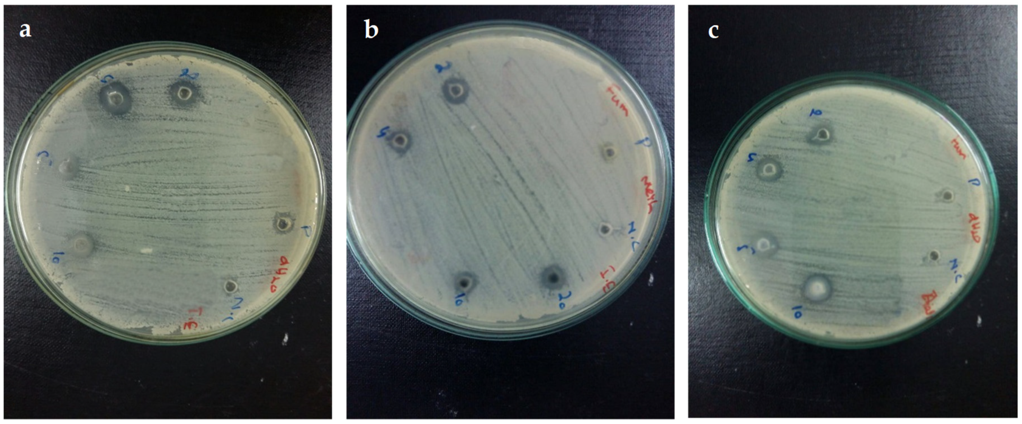 Nanomaterials 09 01171 g005 Nanomaterials 09 01171 g005