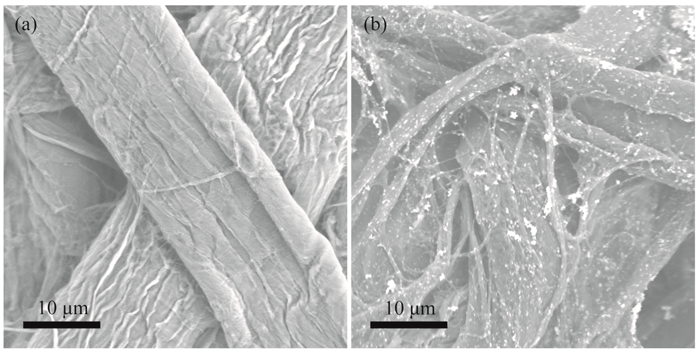 Nanomaterials 09 01183 g001 Nanomaterials 09 01183 g001