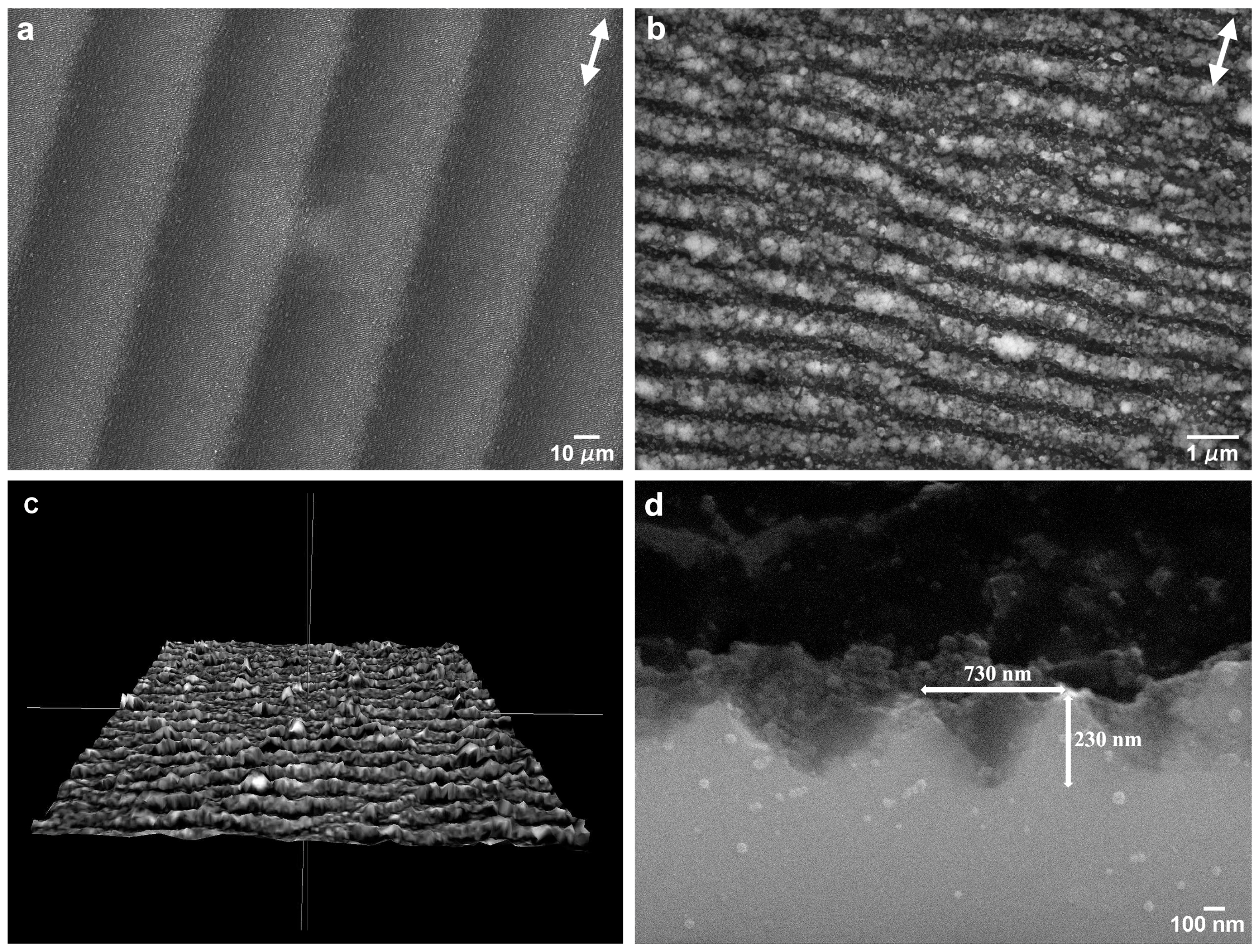 Nanomaterials 09 01237 g001