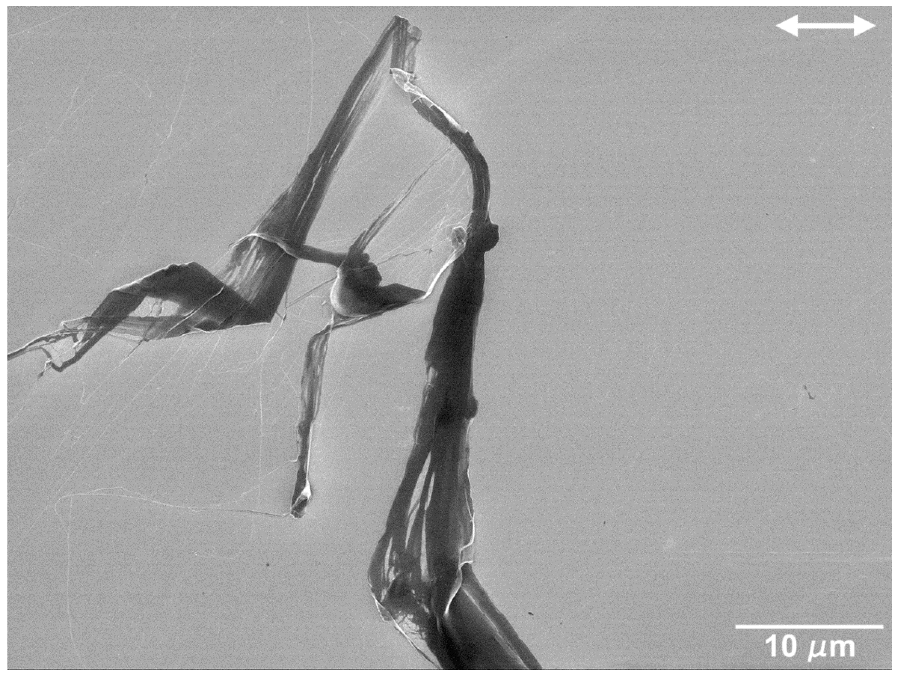 Nanomaterials 09 01237 g007