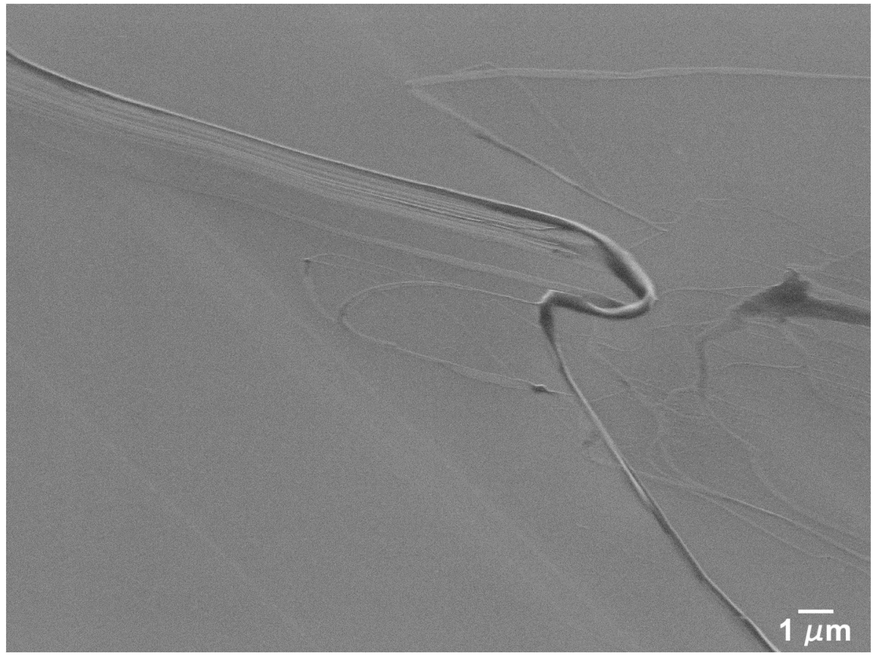 Nanomaterials 09 01237 g008