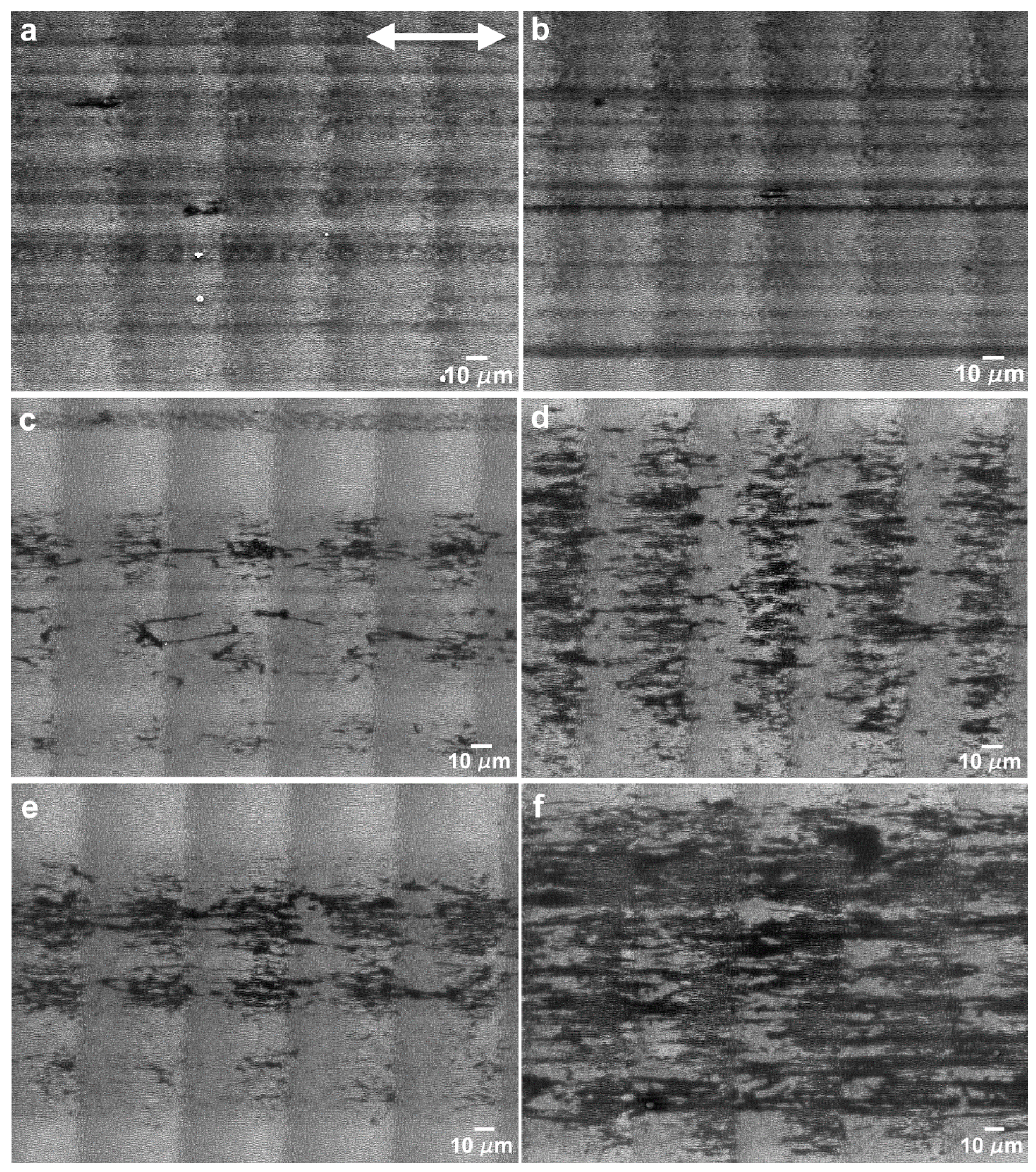 Nanomaterials 09 01237 g009