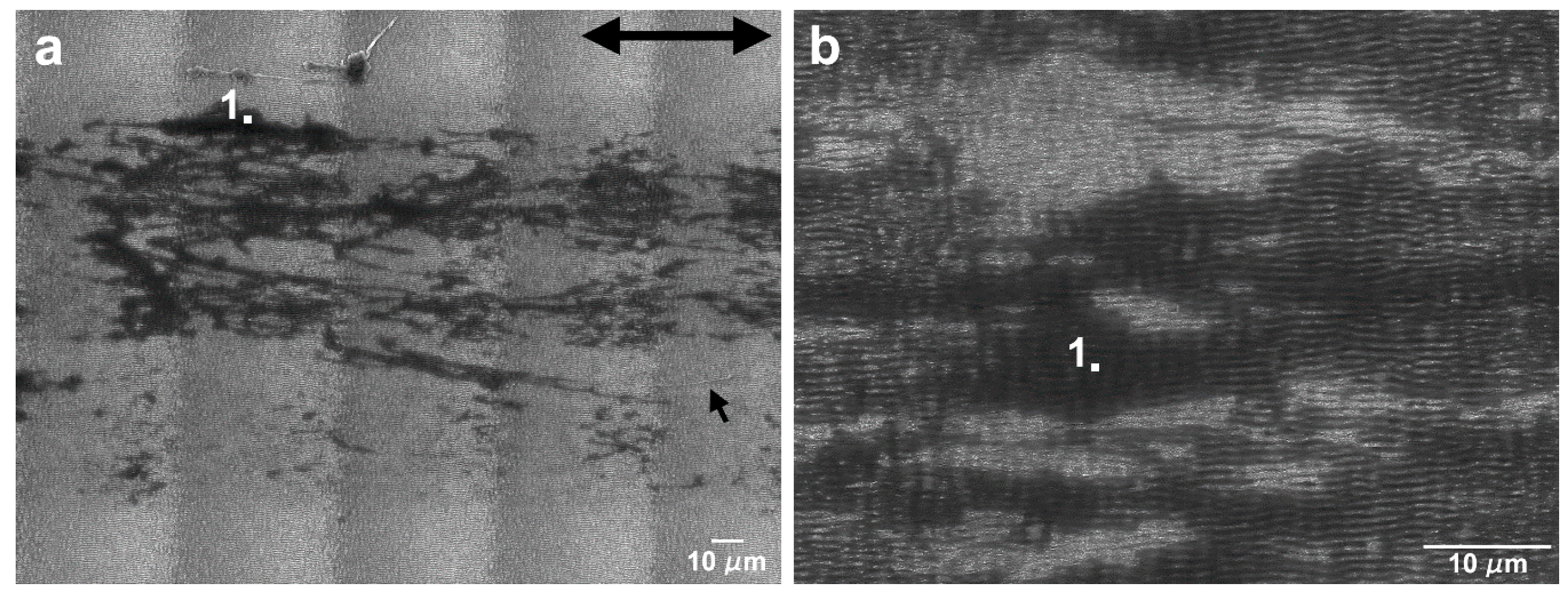 Nanomaterials 09 01237 g012