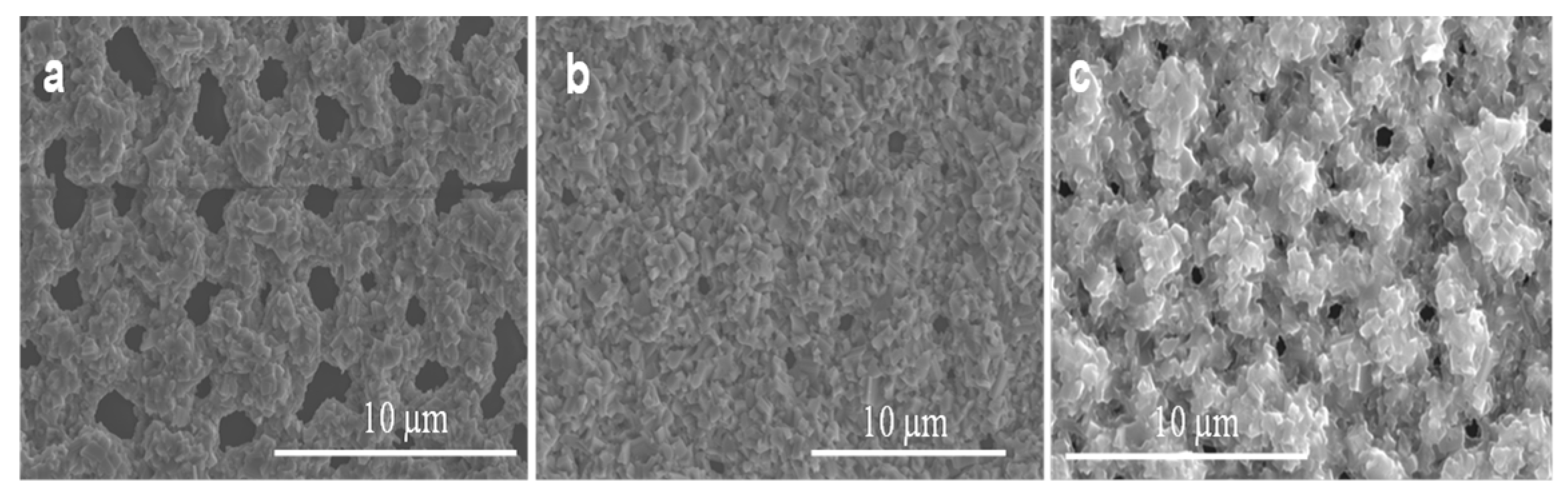 Nanomaterials 09 01272 g010