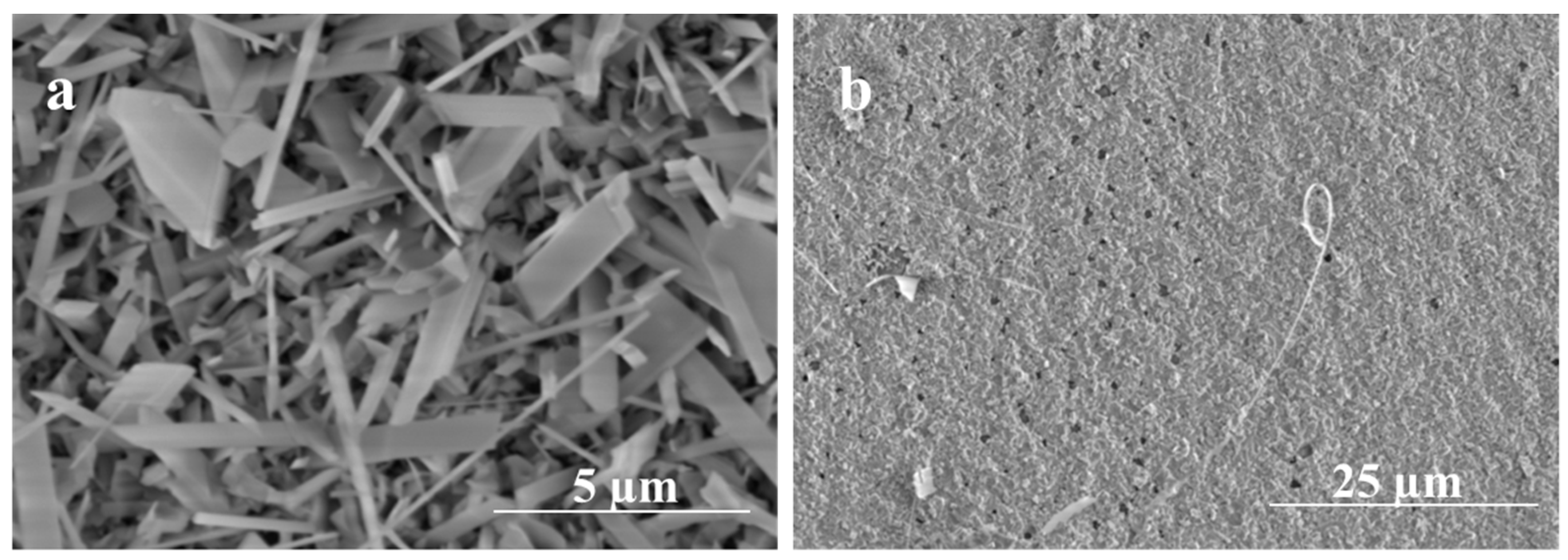 Nanomaterials 09 01272 g011