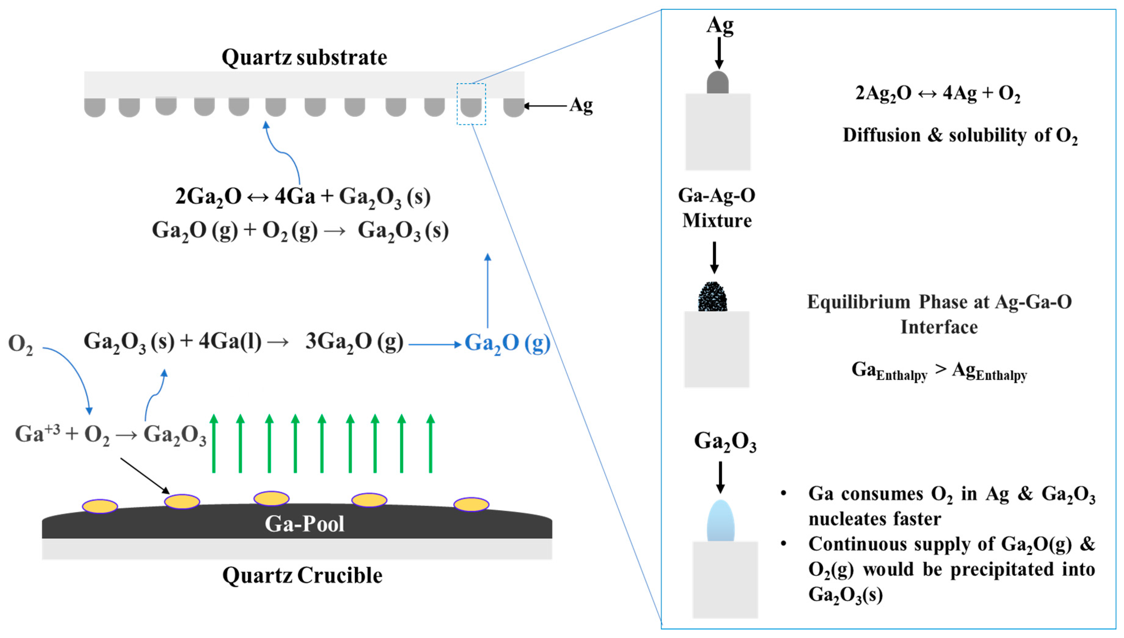 Nanomaterials 09 01272 g012