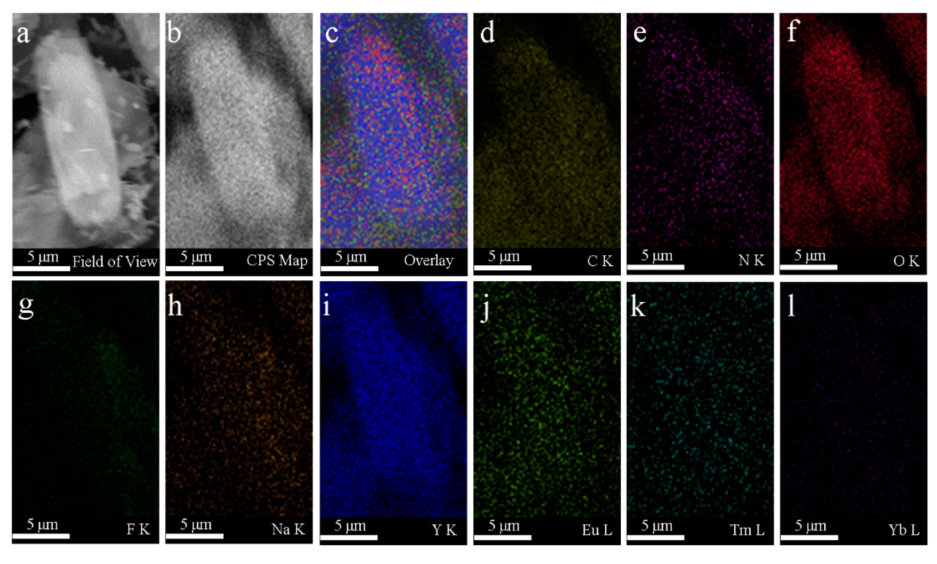 Nanomaterials 09 01274 g003