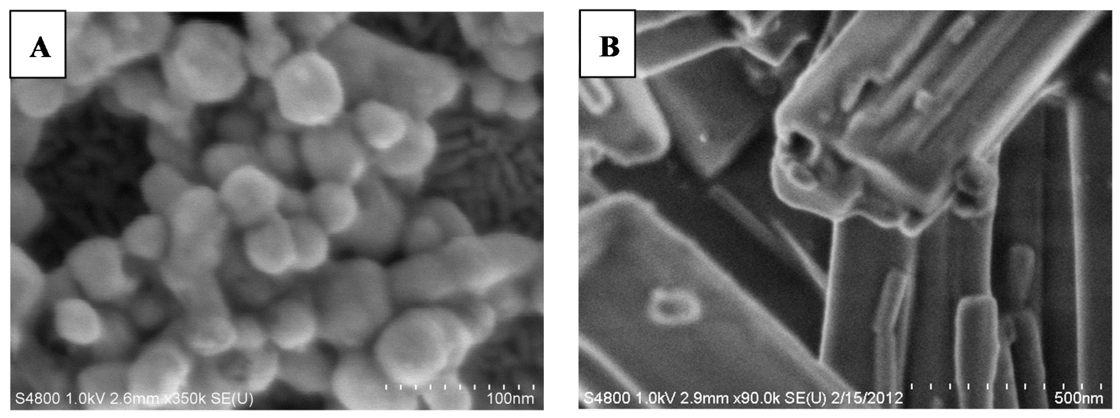 Nanomaterials 09 01282 g004