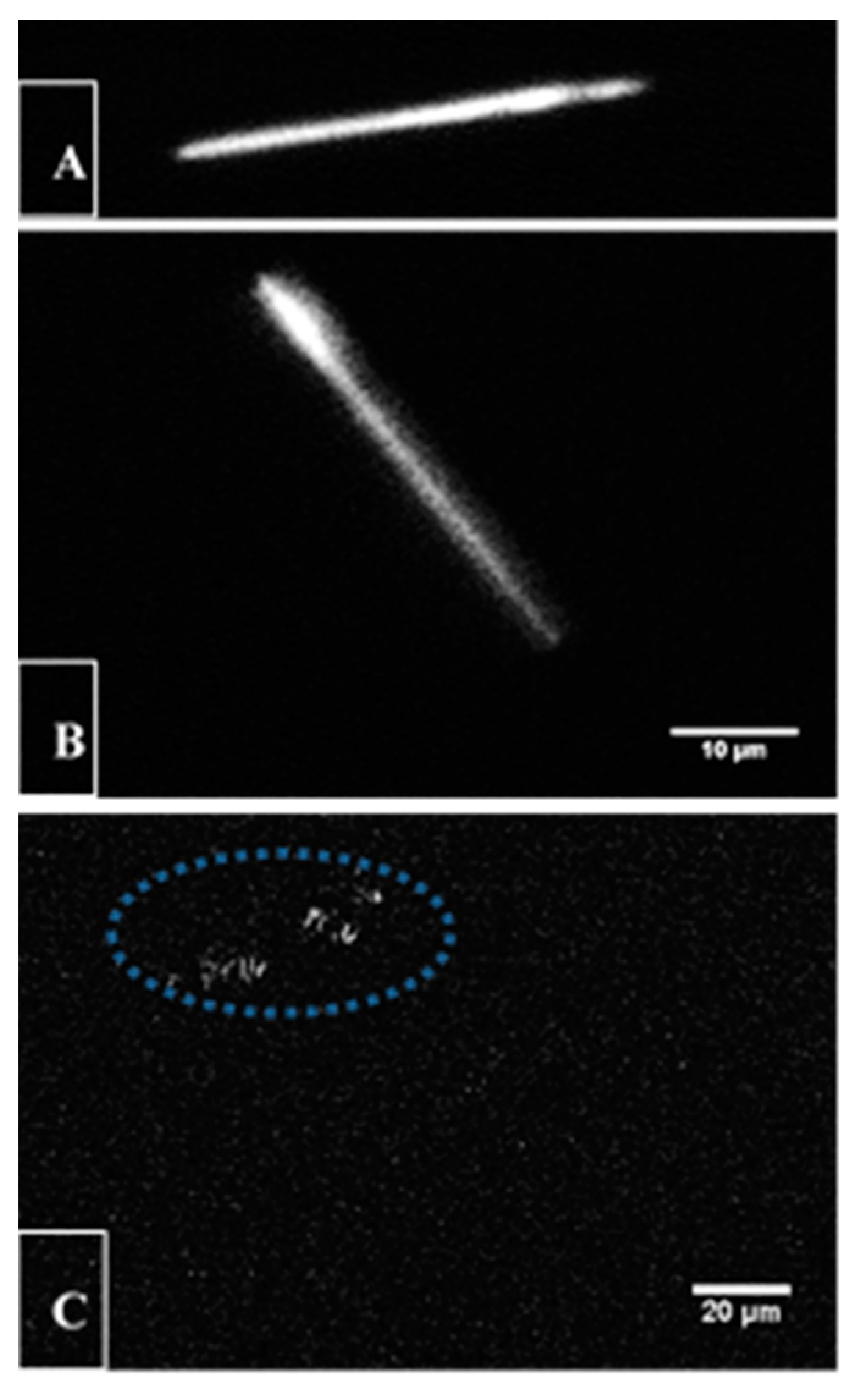 Nanomaterials 09 01282 g007