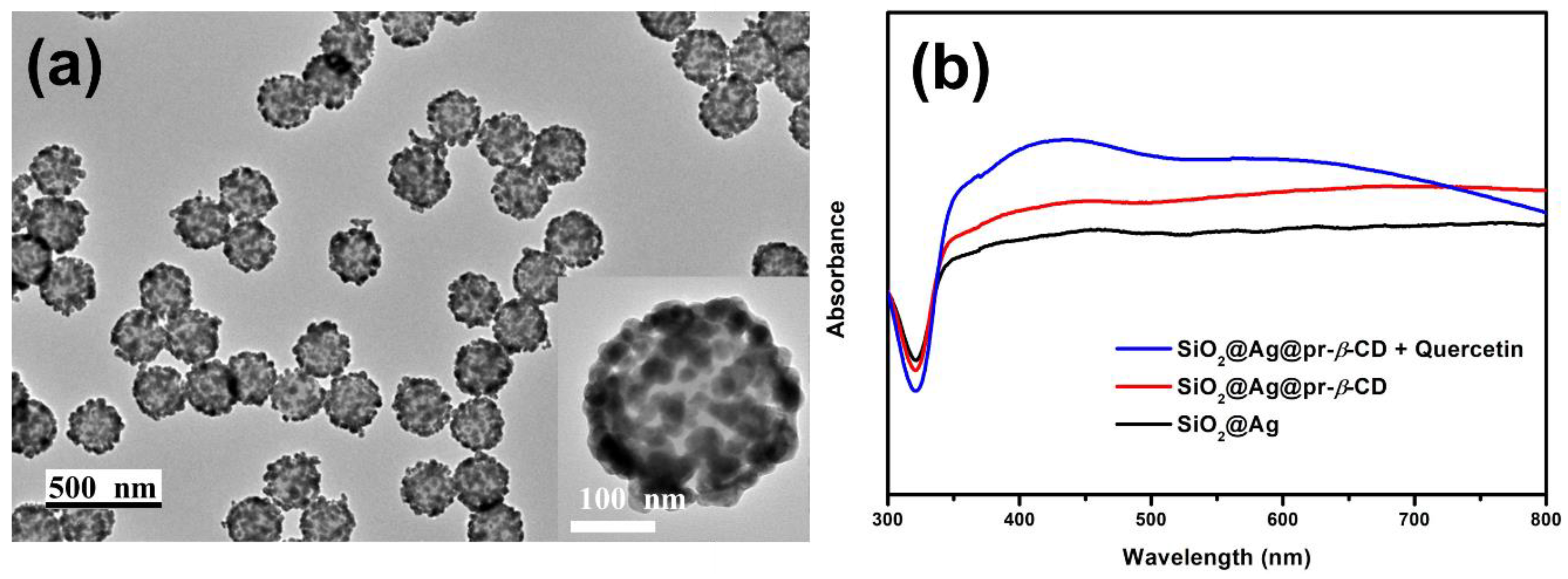 Nanomaterials 09 01349 g001 Nanomaterials 09 01349 g001