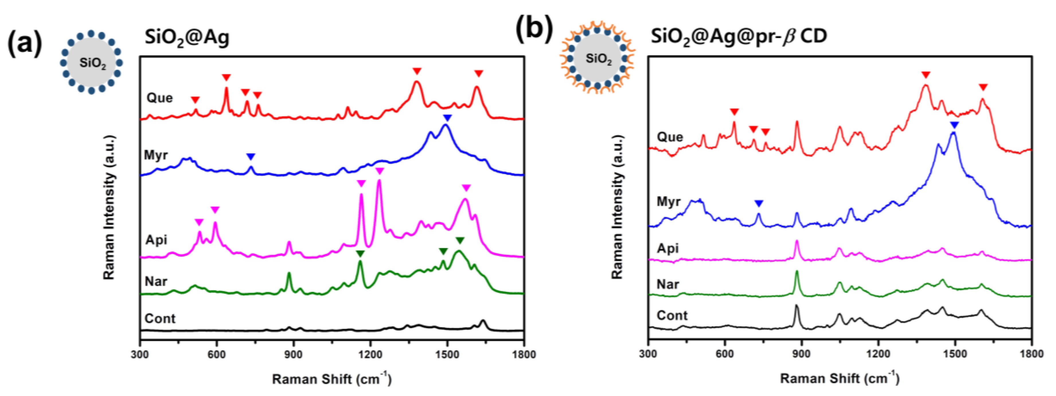 Nanomaterials 09 01349 g002 Nanomaterials 09 01349 g002