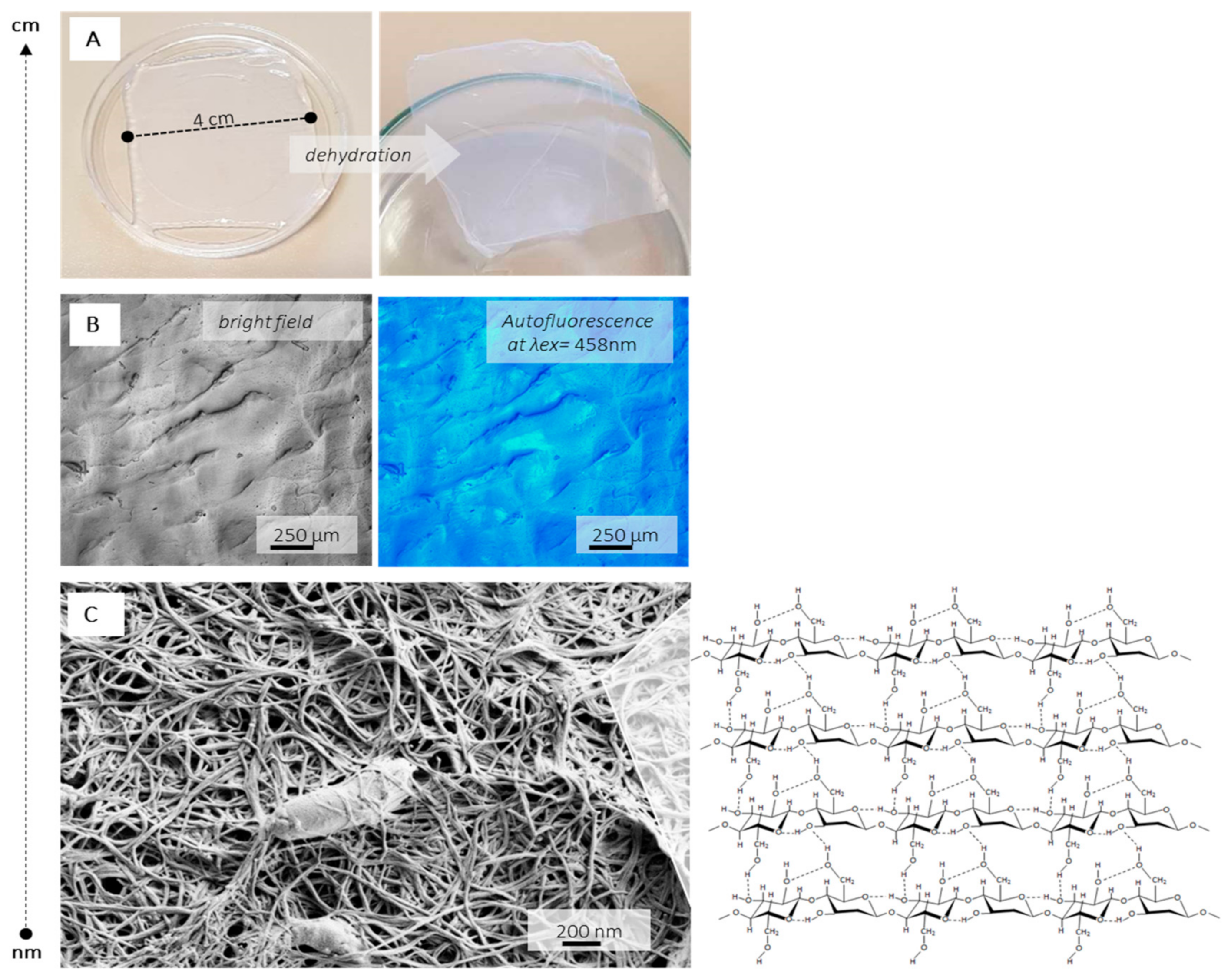 Nanomaterials 09 01352 g004 Nanomaterials 09 01352 g004