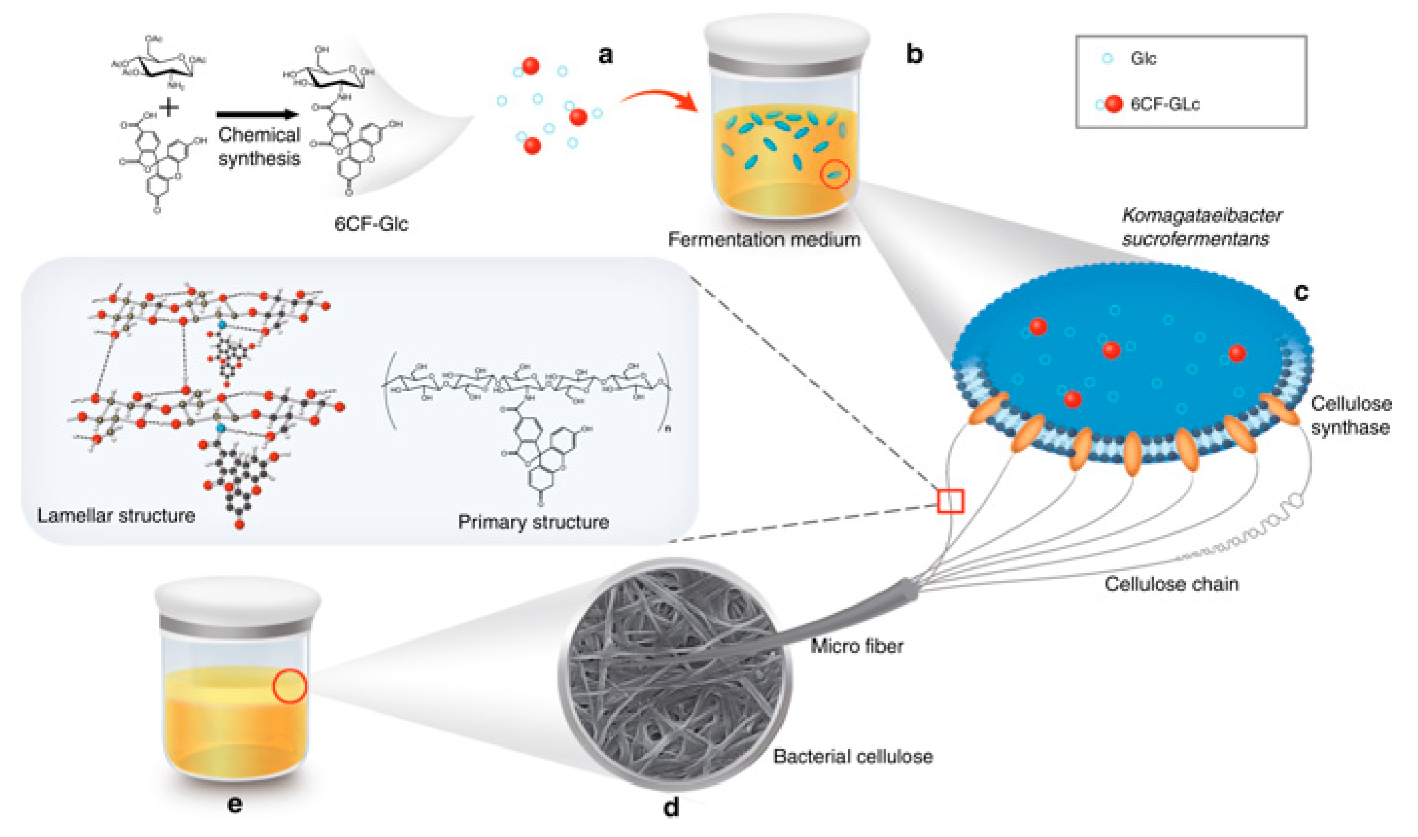 Nanomaterials 09 01352 g005 Nanomaterials 09 01352 g005