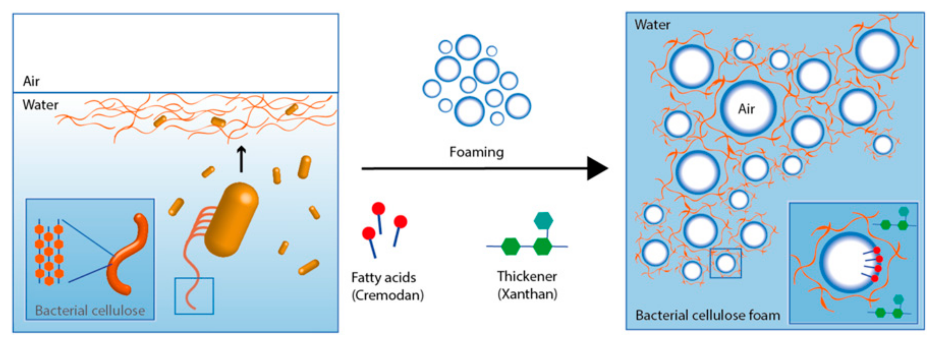 Nanomaterials 09 01352 g006 Nanomaterials 09 01352 g006