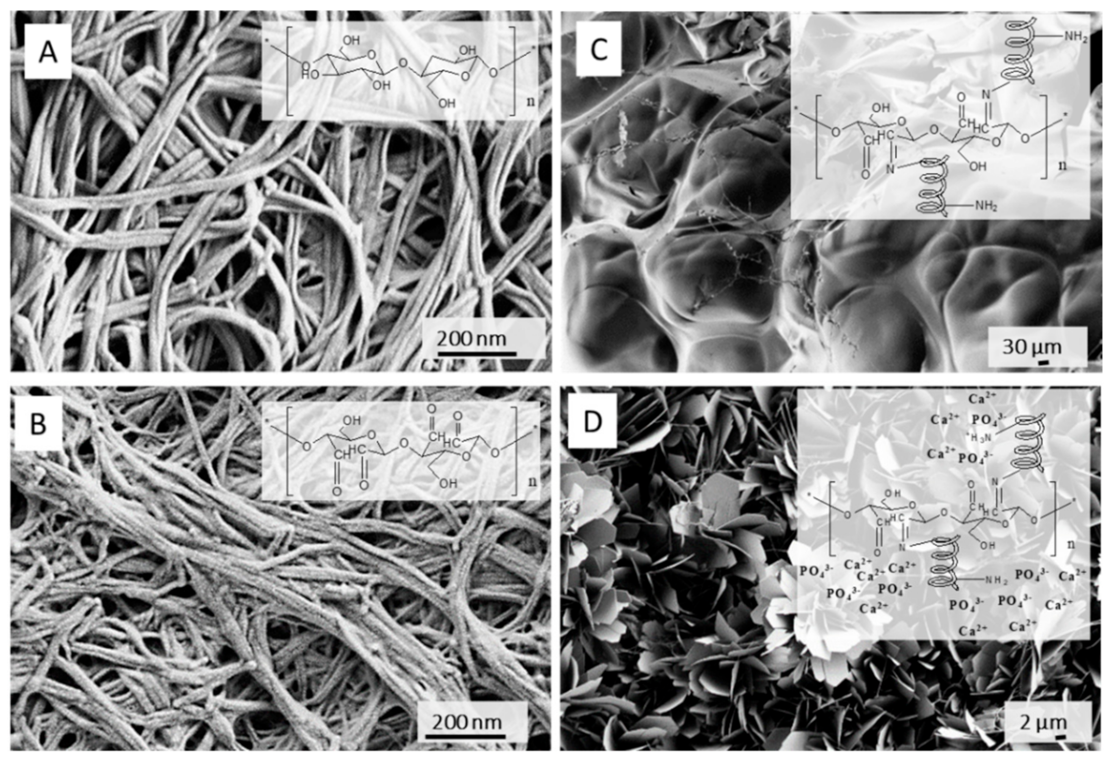 Nanomaterials 09 01352 g007 Nanomaterials 09 01352 g007