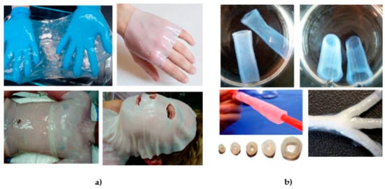 Nanomaterials 09 01352 g008