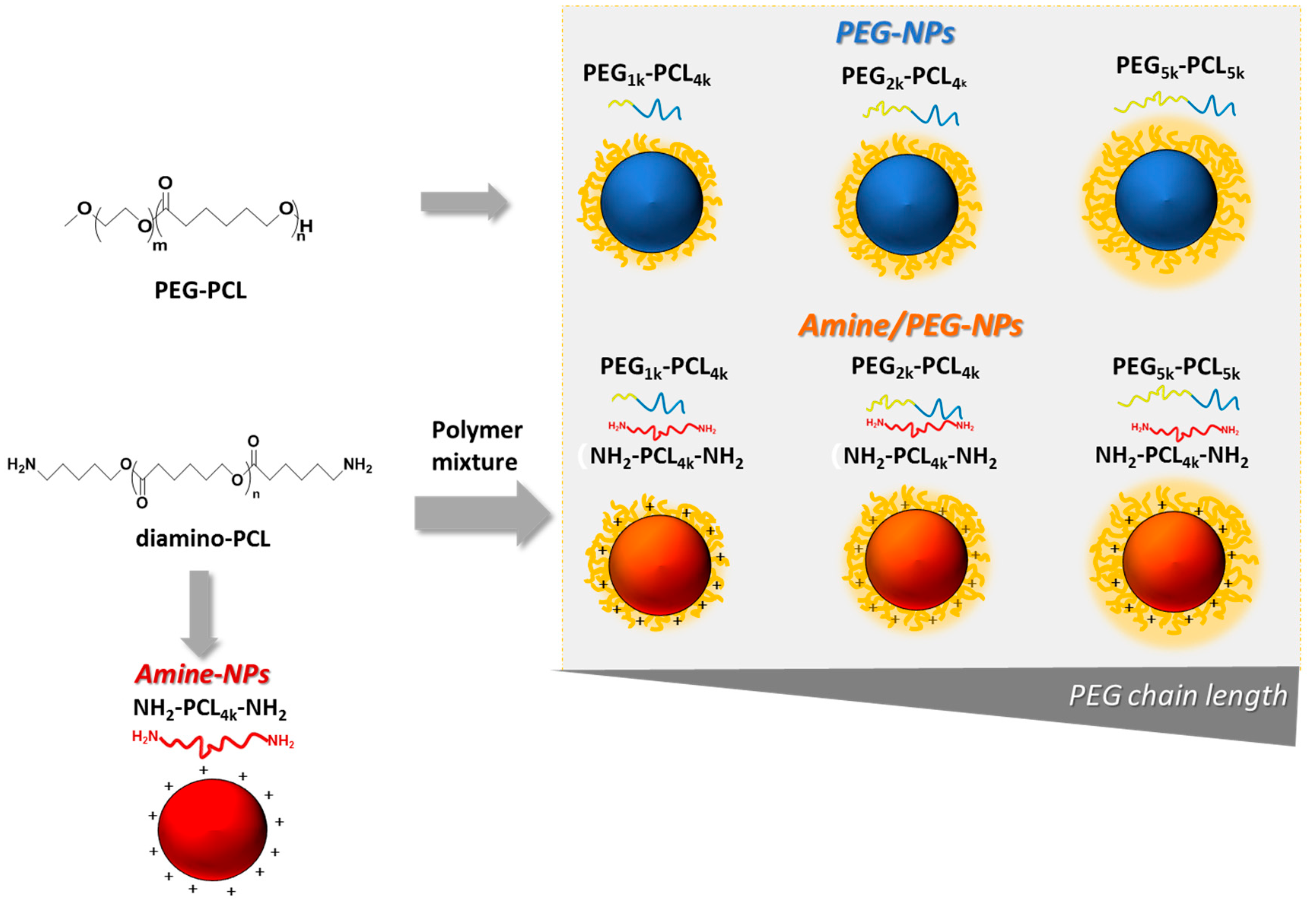 Nanomaterials 09 01354 g002