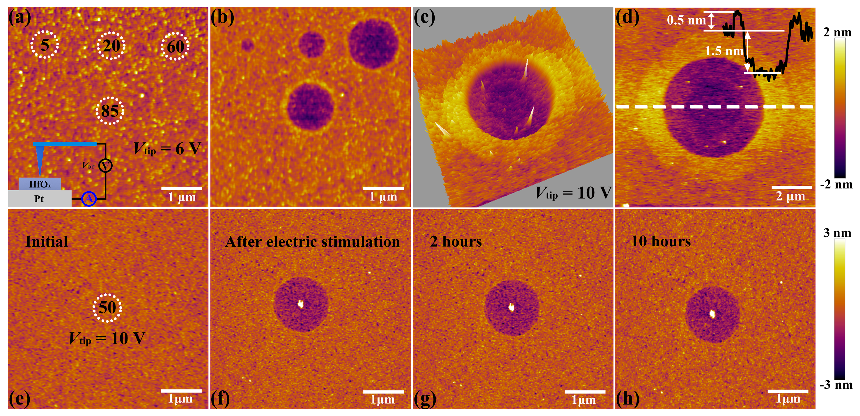Nanomaterials 09 01355 g002
