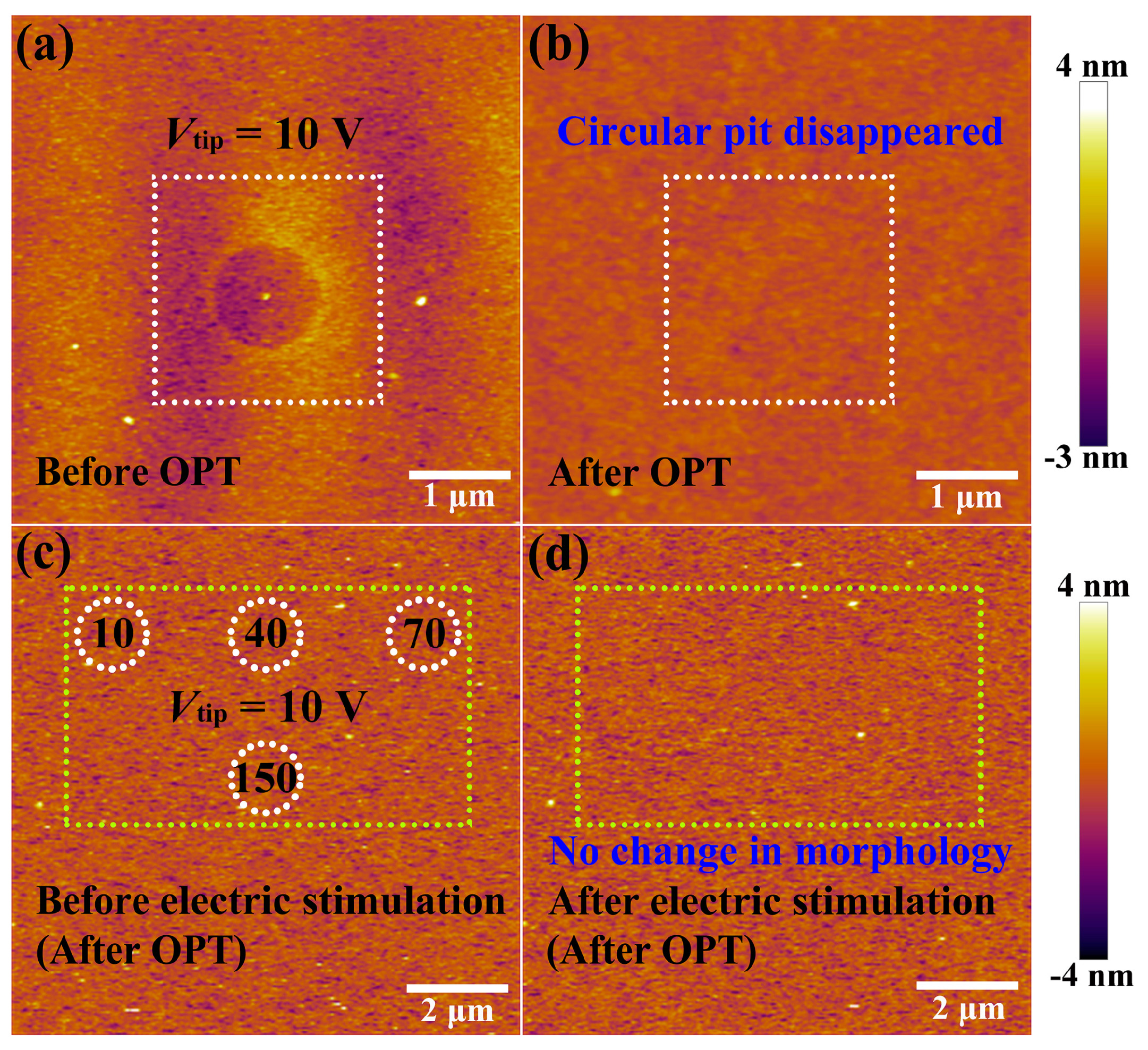 Nanomaterials 09 01355 g003