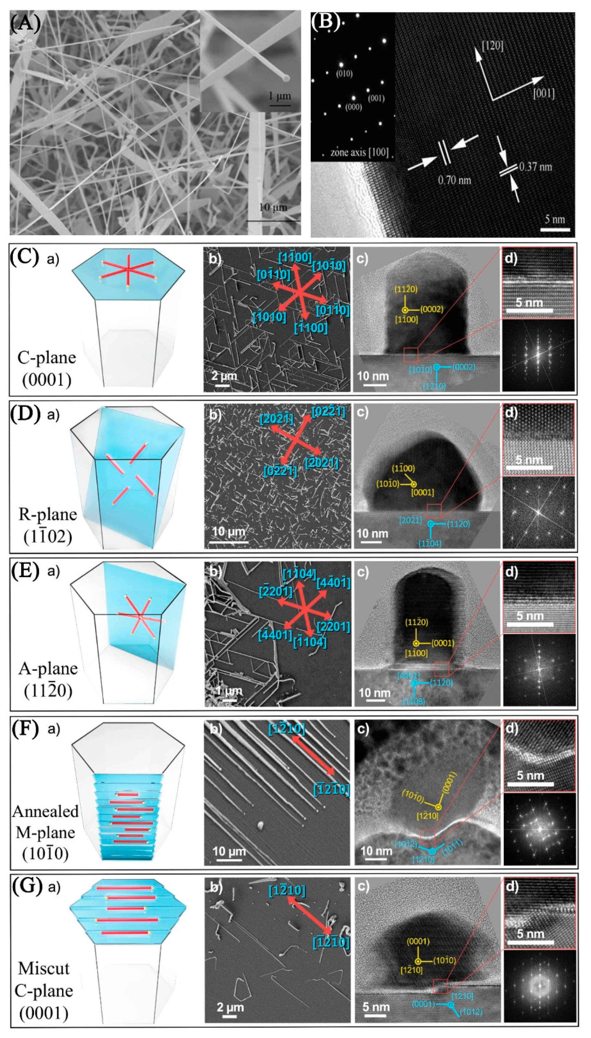 Nanomaterials 09 01359 g001