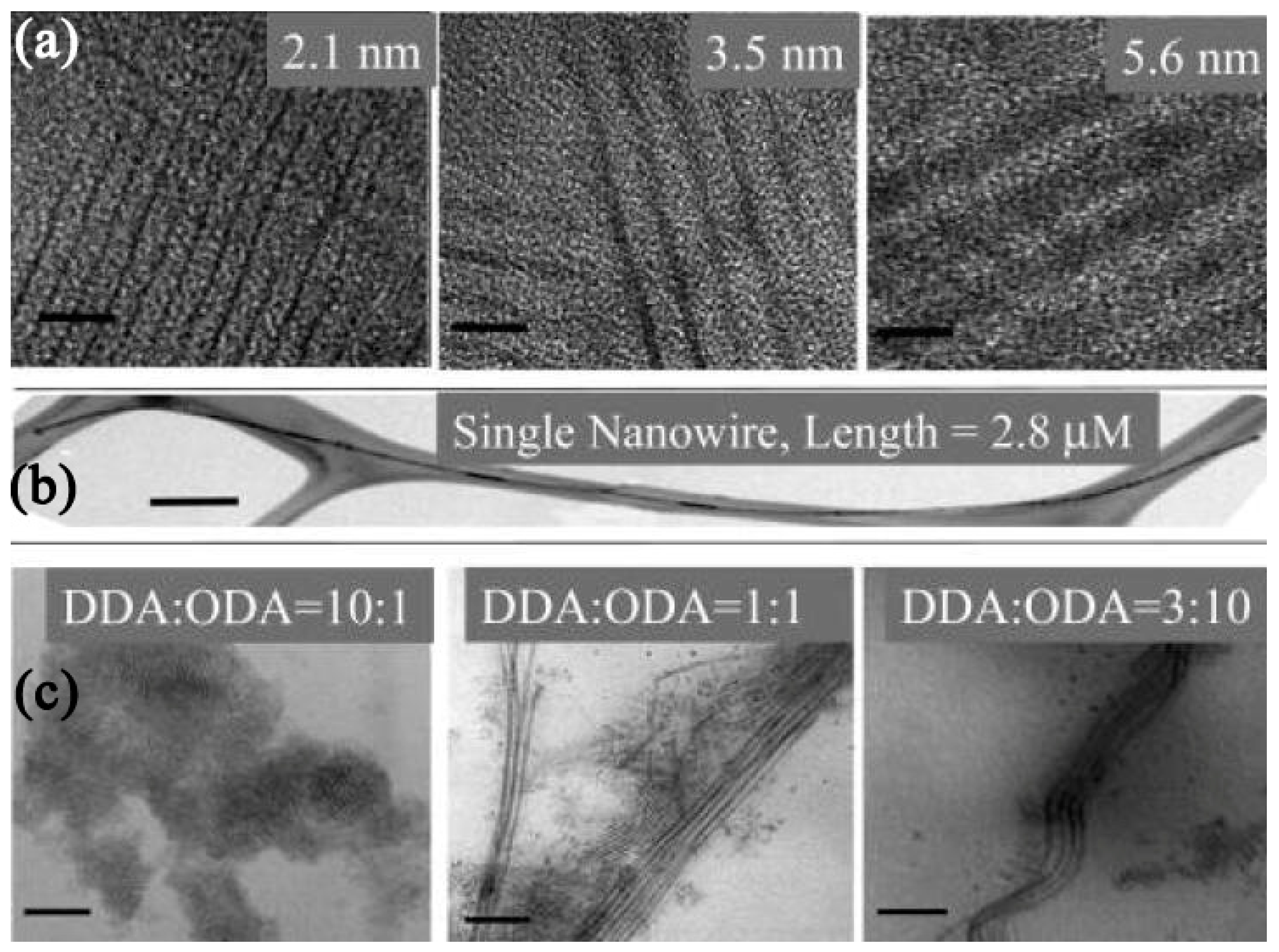 Nanomaterials 09 01359 g005