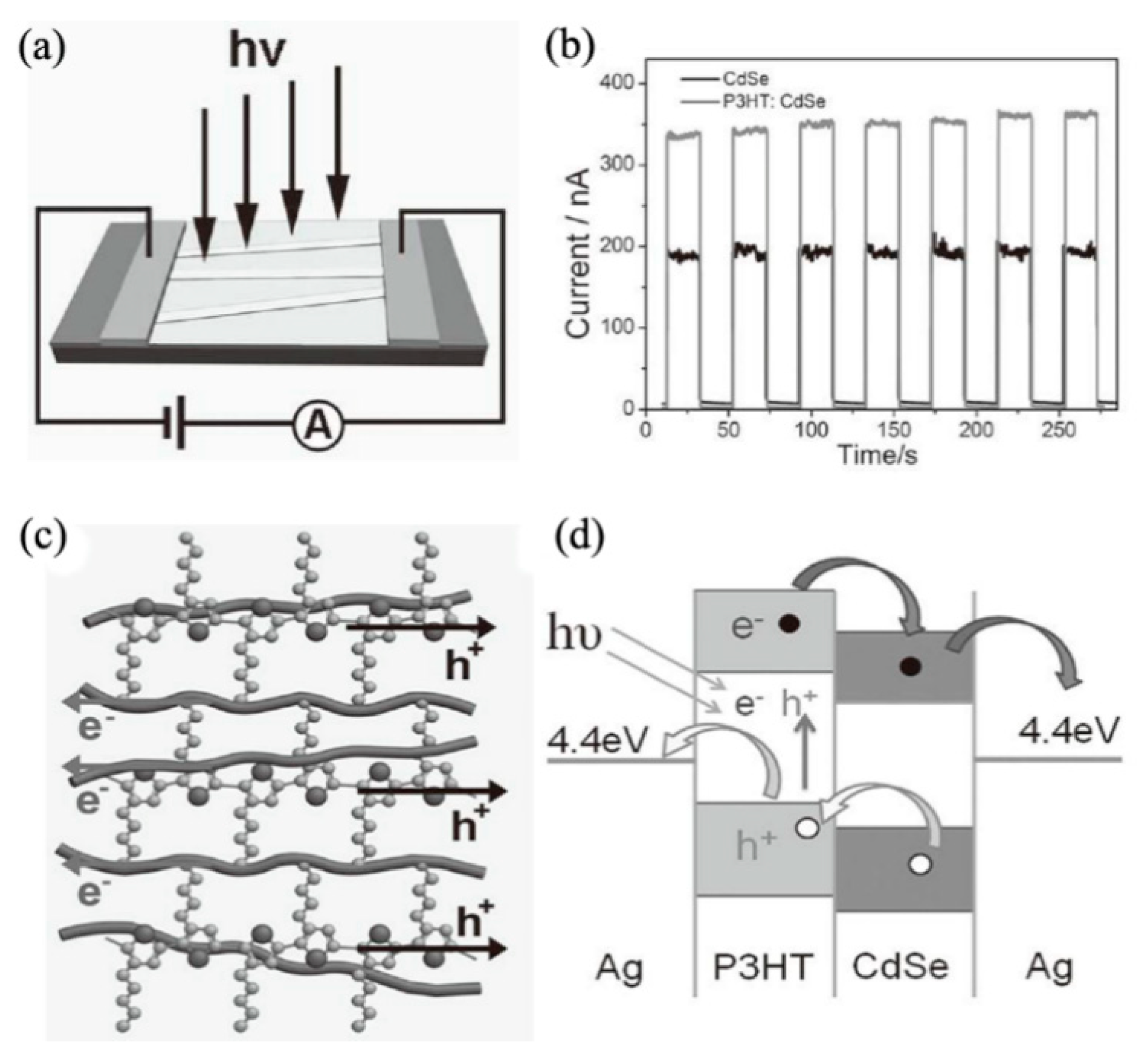 Nanomaterials 09 01359 g007