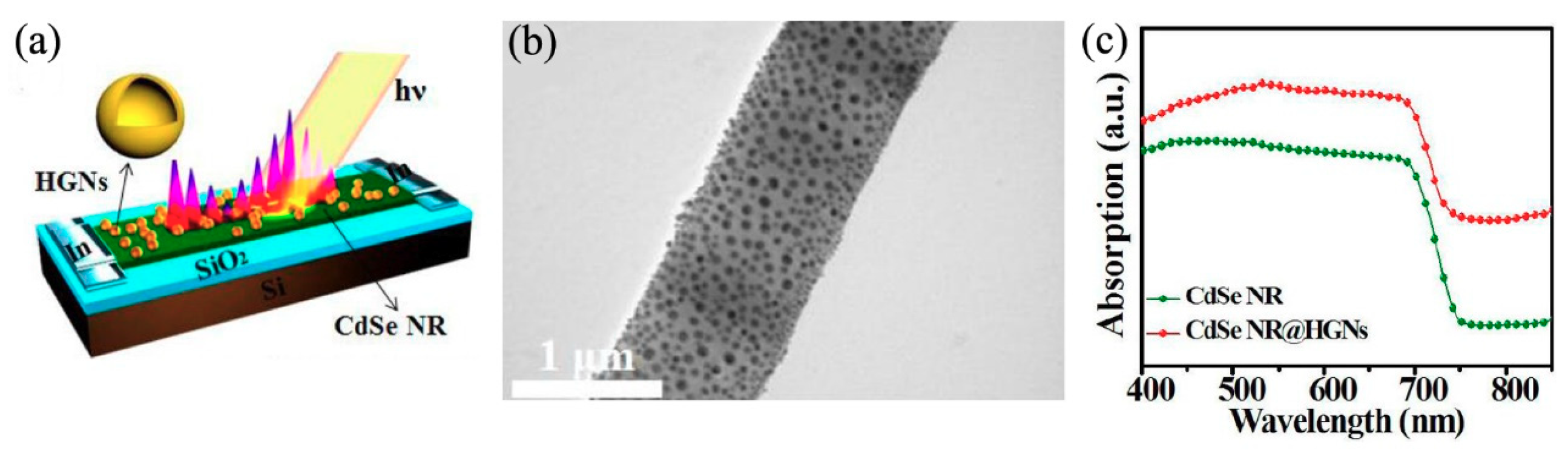 Nanomaterials 09 01359 g009