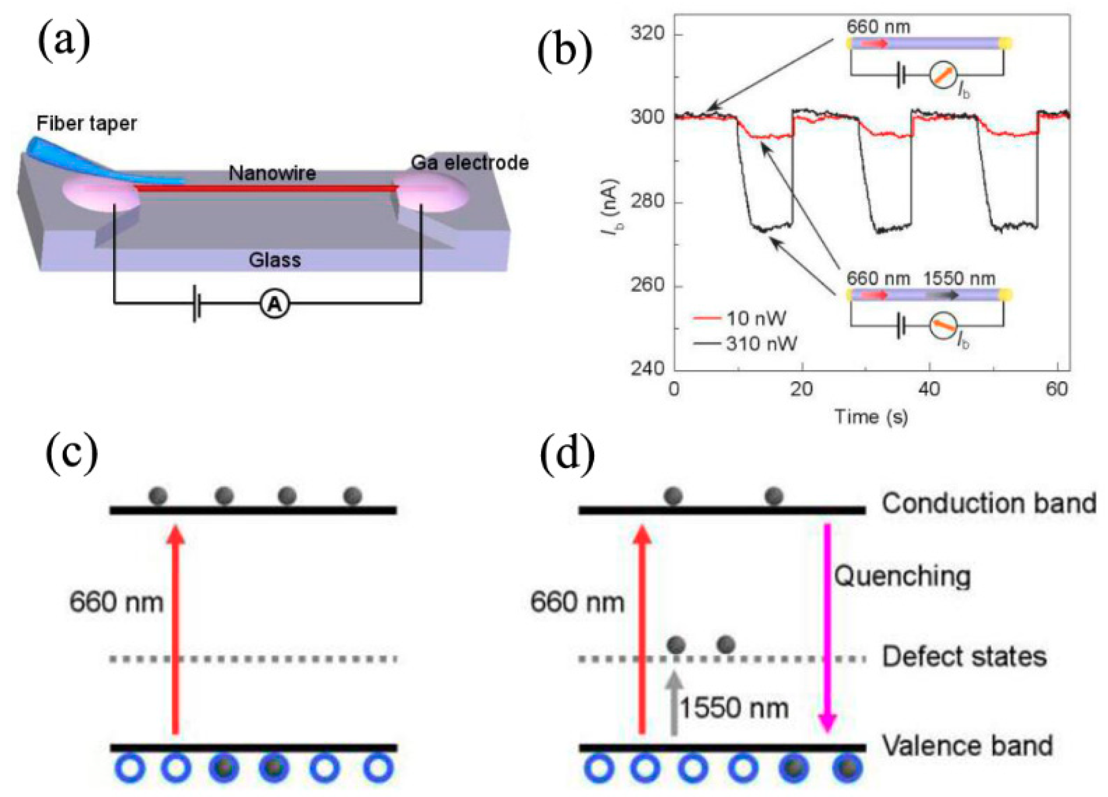 Nanomaterials 09 01359 g010