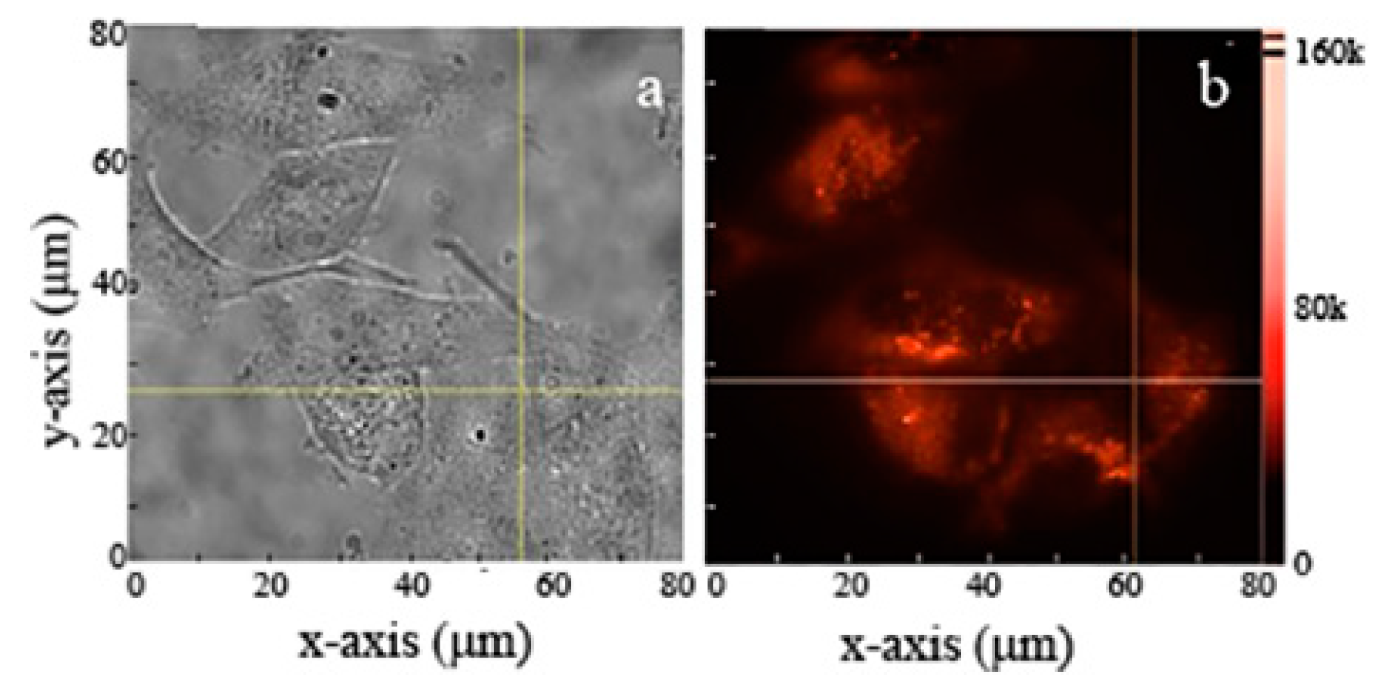Nanomaterials 09 01360 g007