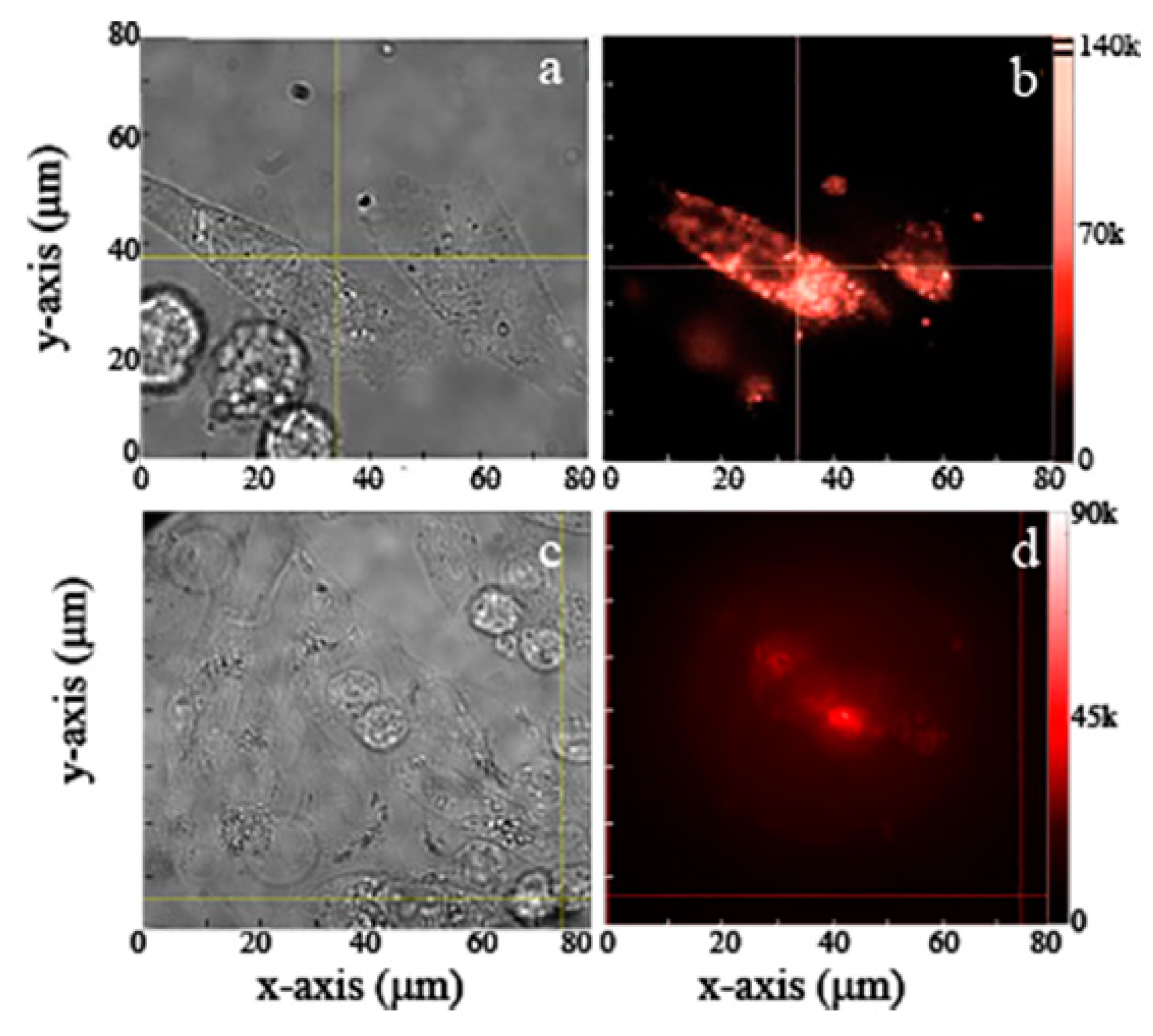 Nanomaterials 09 01360 g008