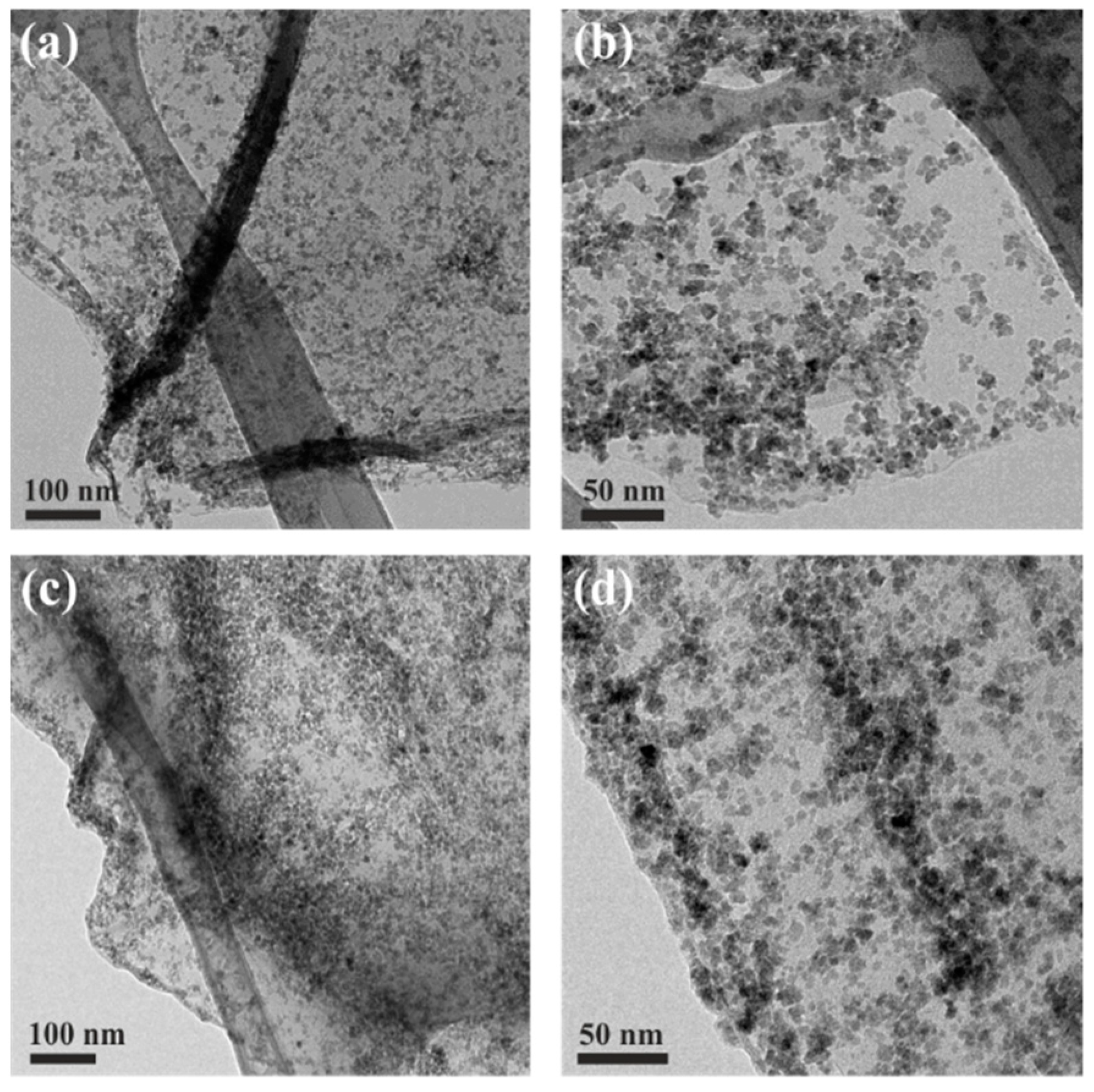 Nanomaterials 09 01364 g006 Nanomaterials 09 01364 g006