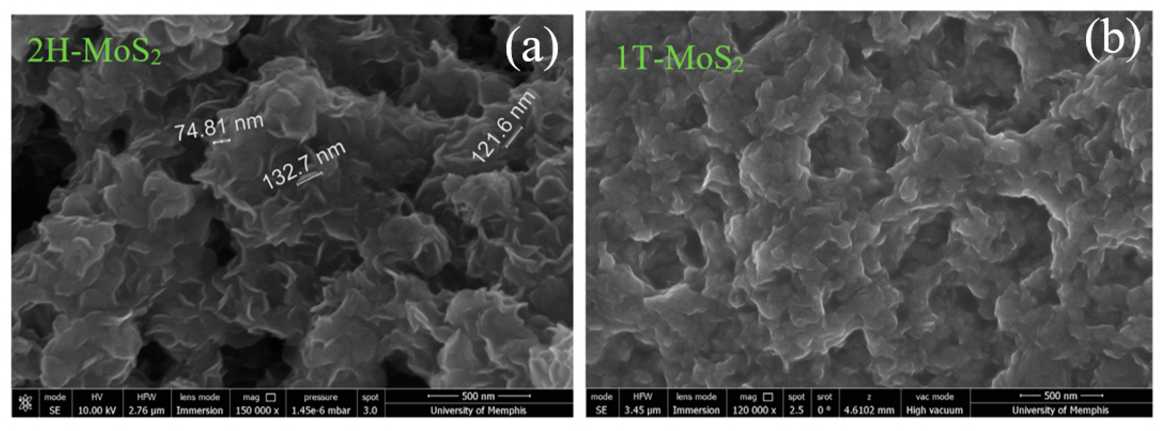 Nanomaterials 09 01366 g001