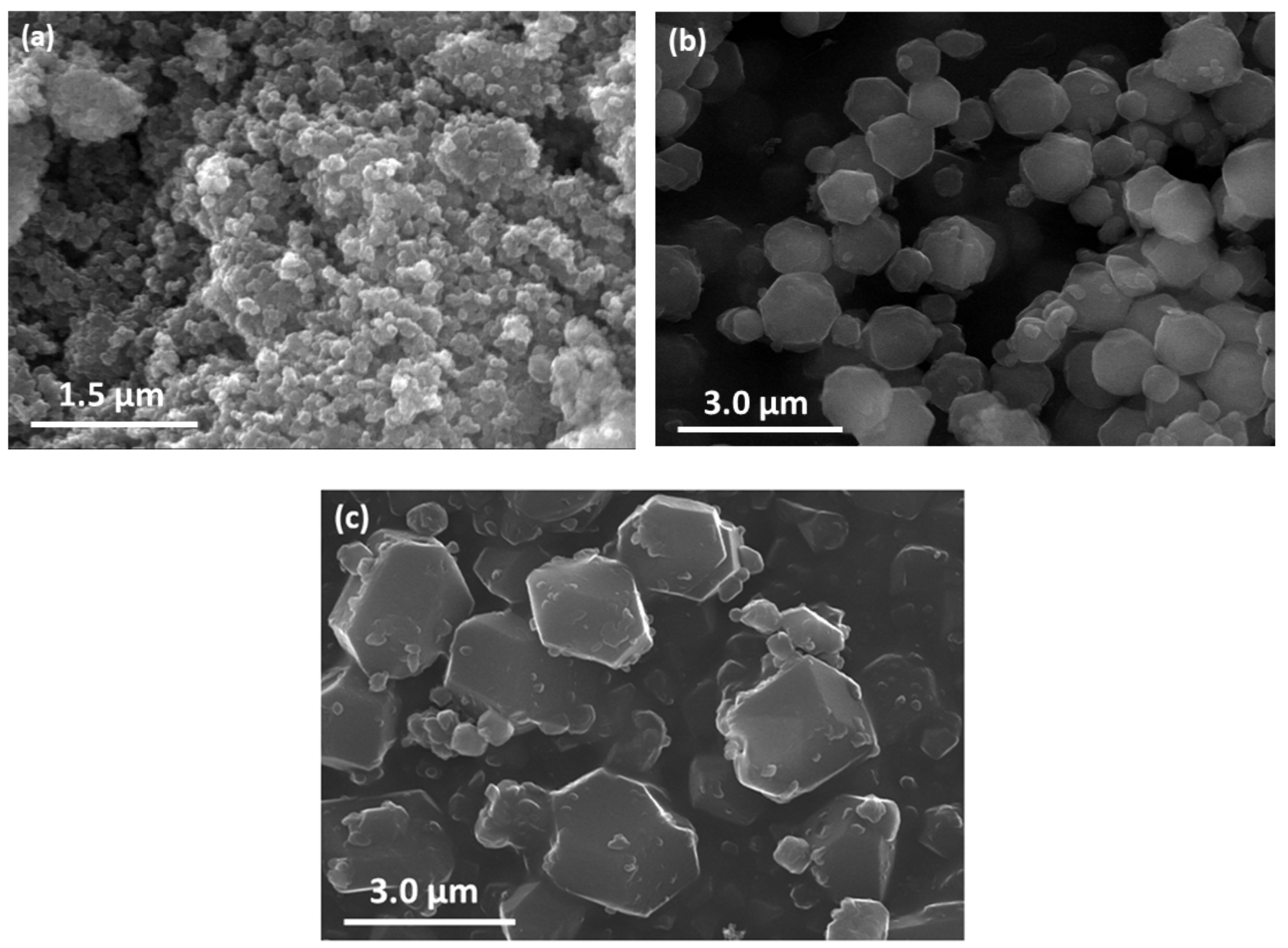 Nanomaterials 09 01369 g002