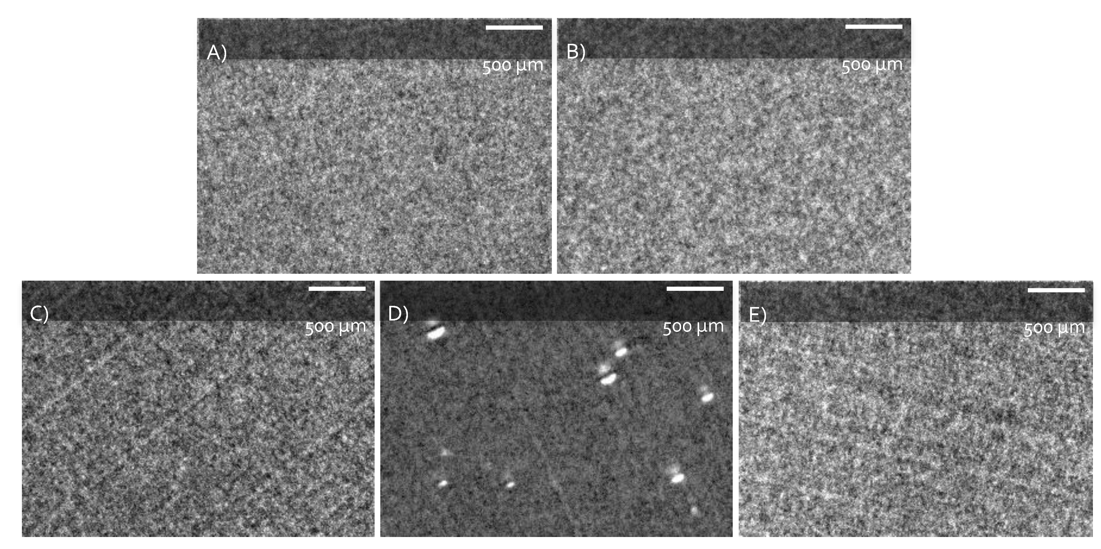 Nanomaterials 09 01376 g002