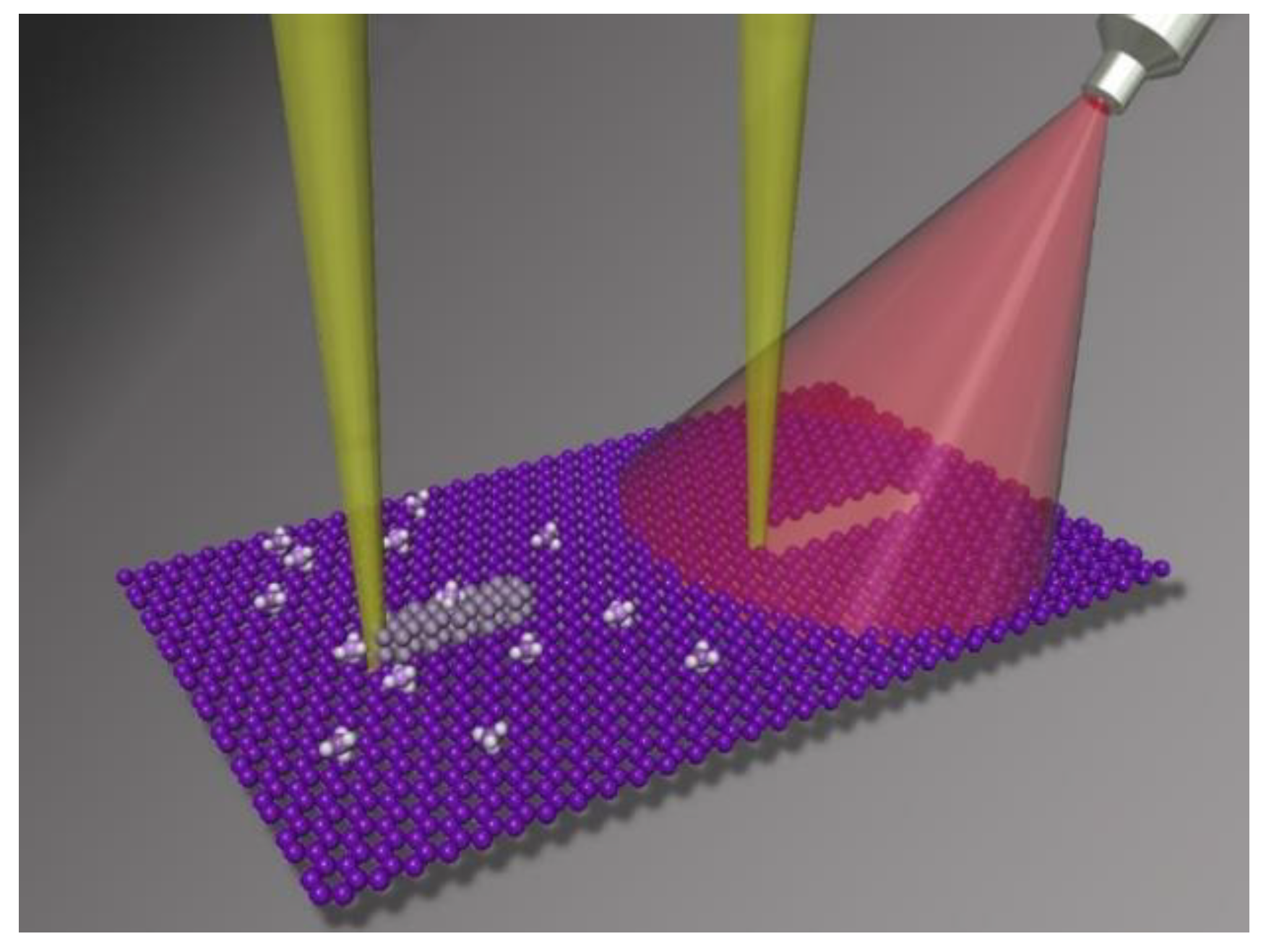 Nanomaterials 09 01394 g001