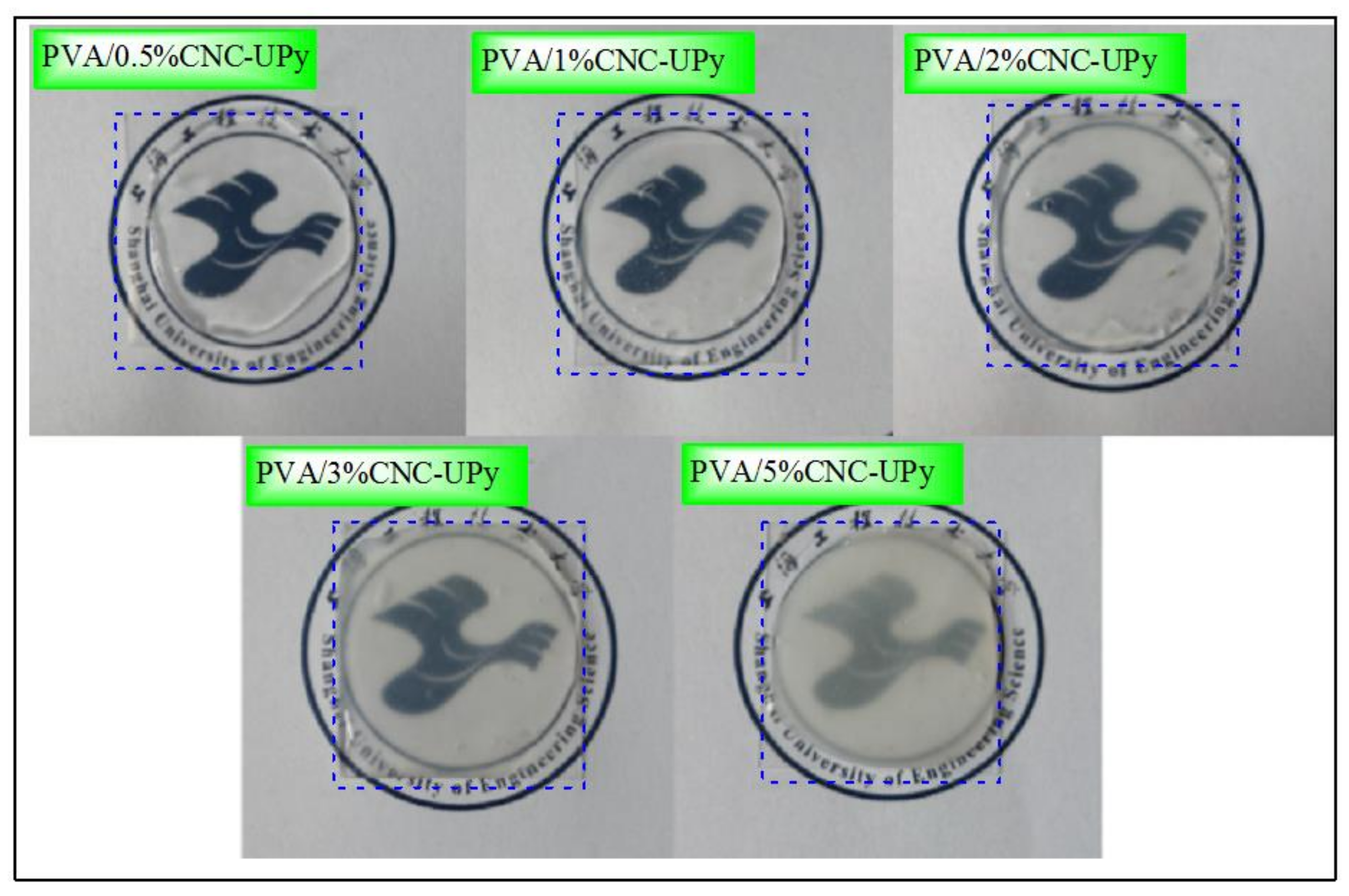 Nanomaterials 09 01397 g005