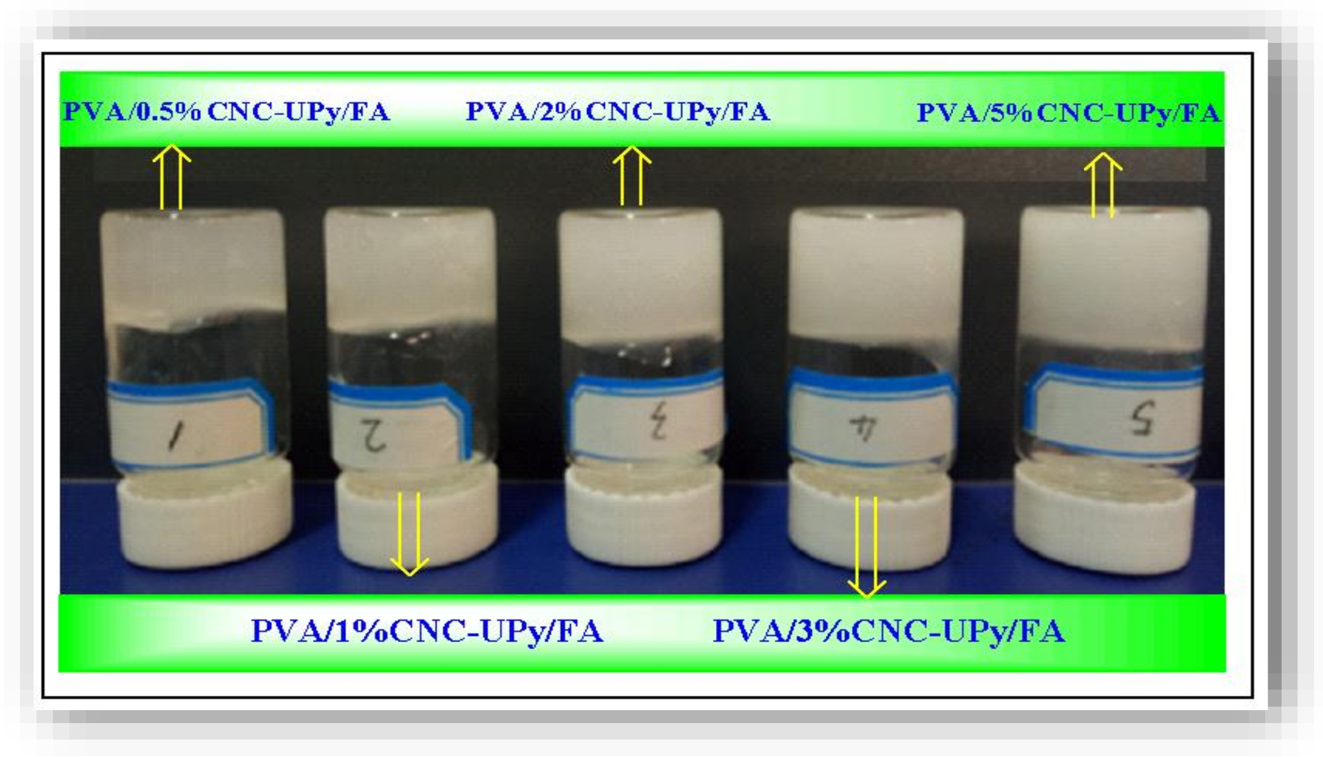 Nanomaterials 09 01397 g009