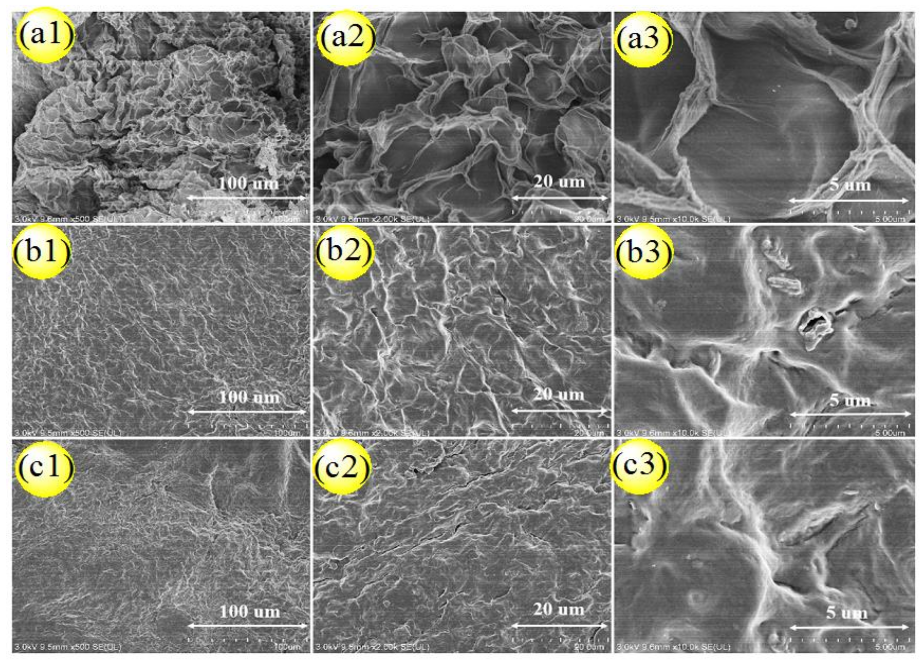 Nanomaterials 09 01397 g012