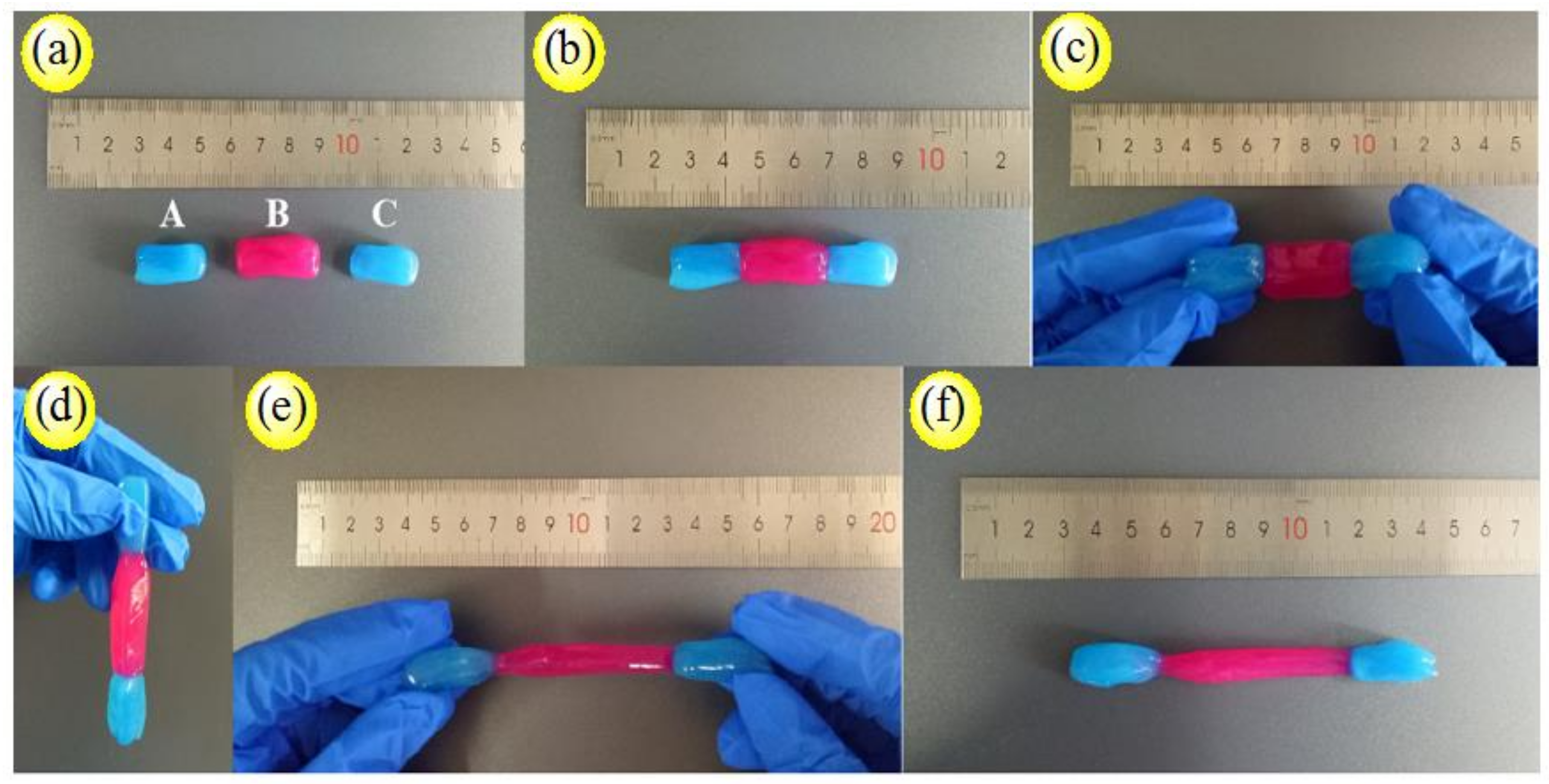 Nanomaterials 09 01397 g013