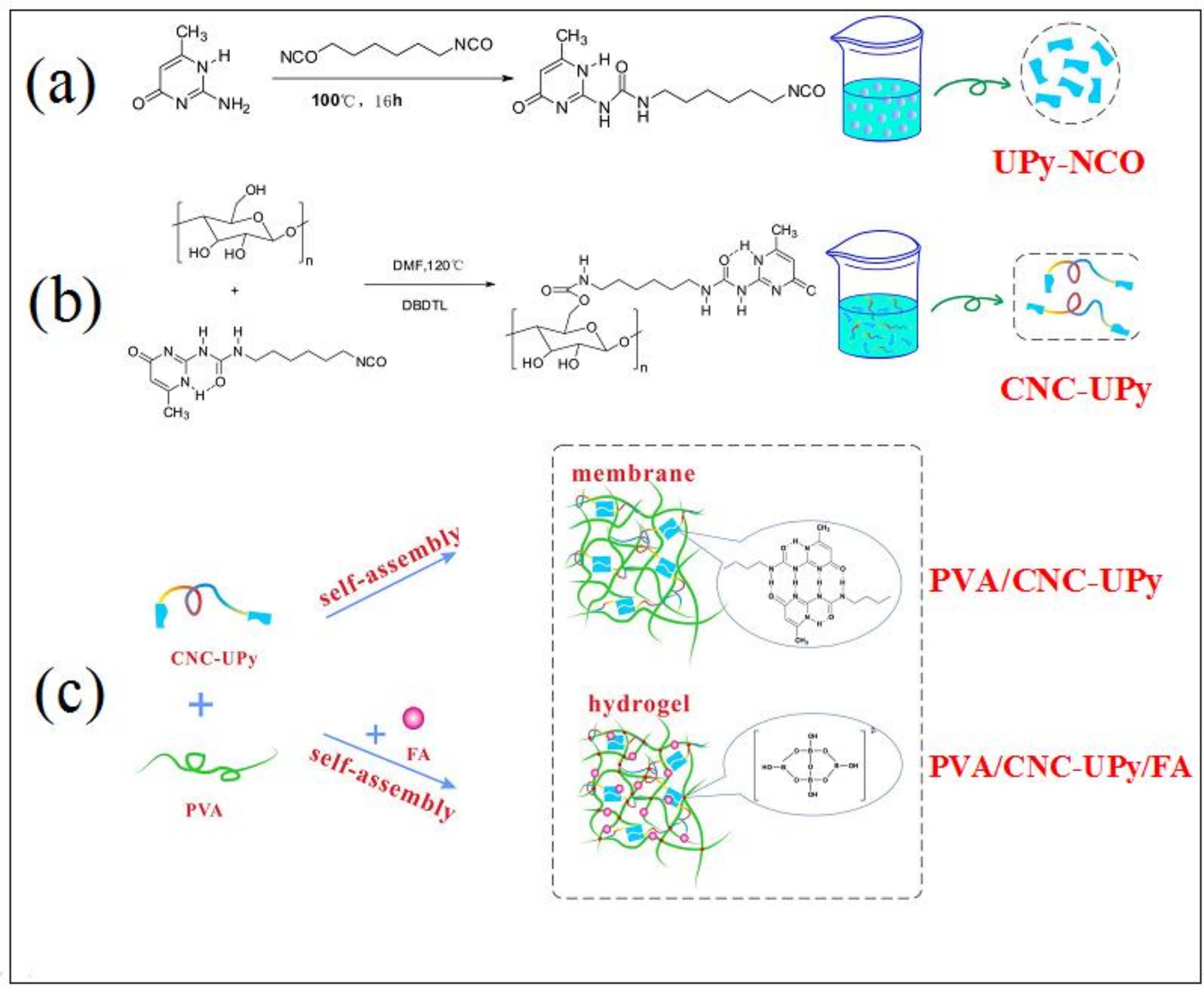 Nanomaterials 09 01397 sch001