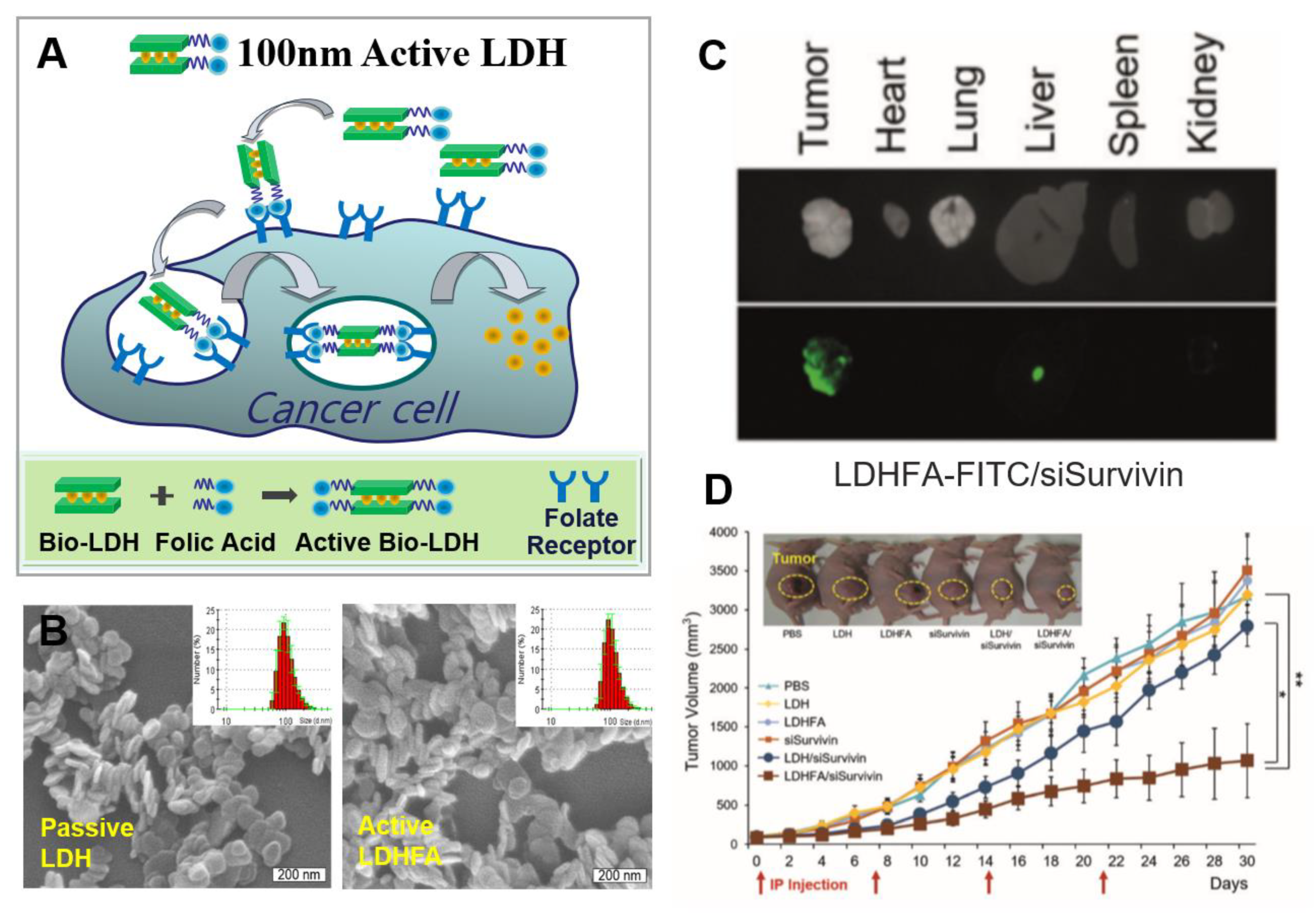 Nanomaterials 09 01404 g003
