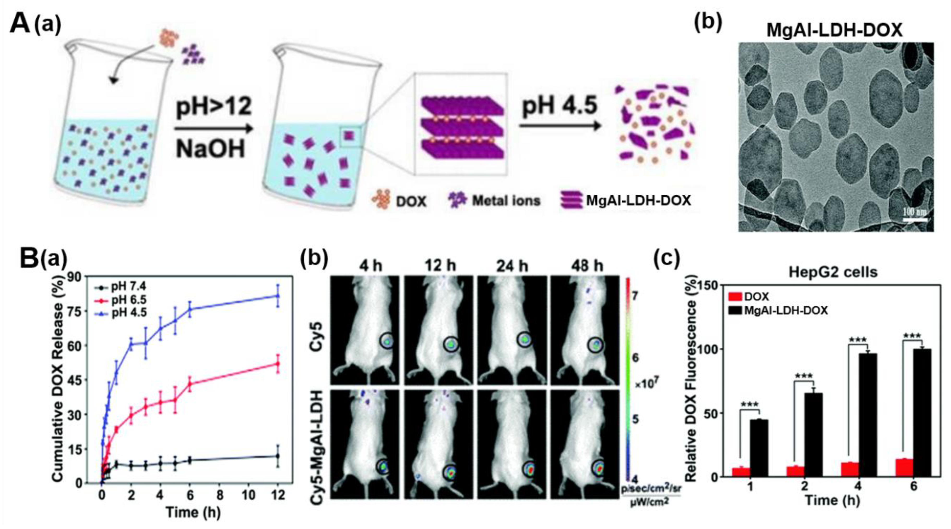 Nanomaterials 09 01404 g004