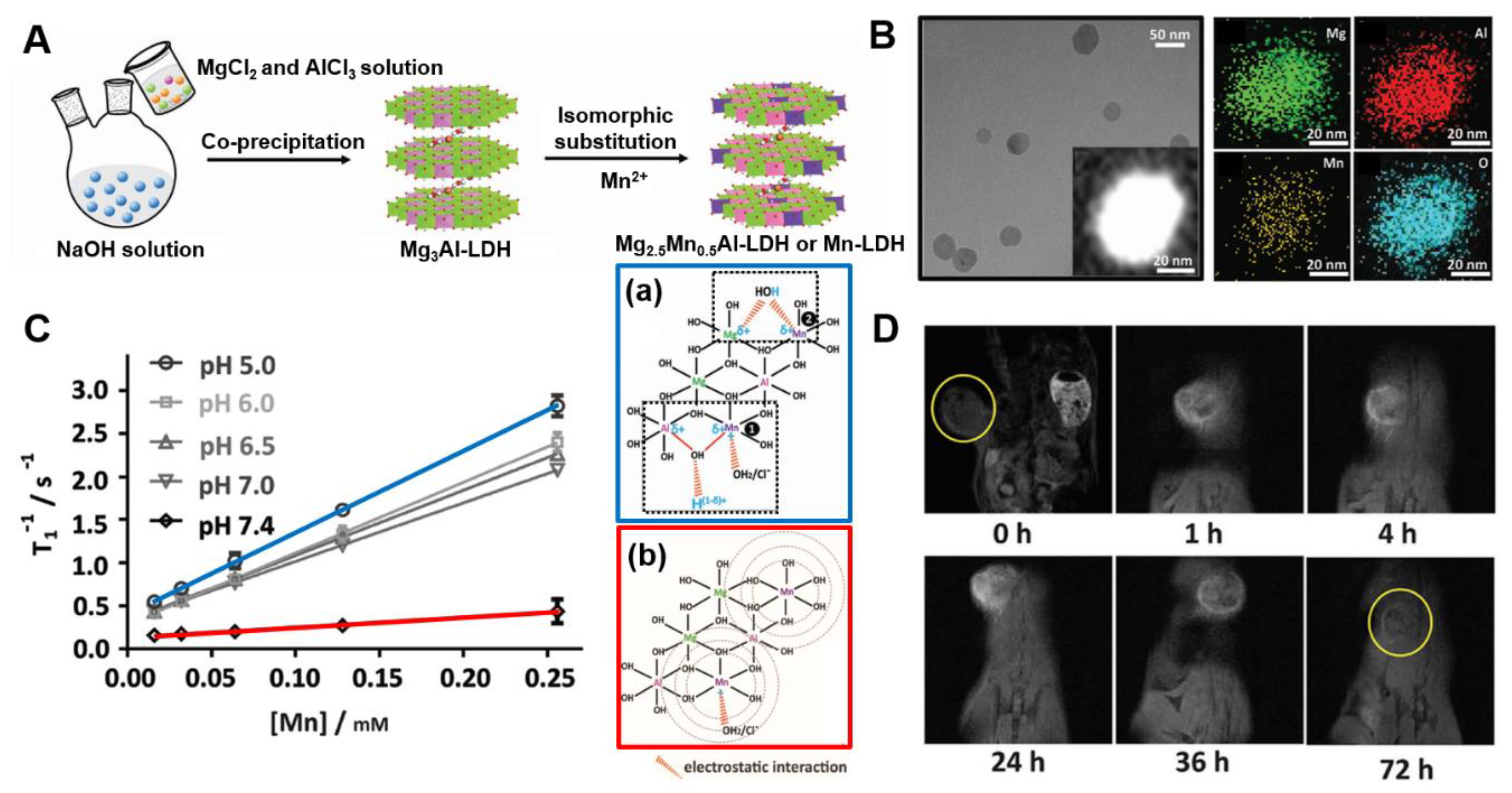 Nanomaterials 09 01404 g005