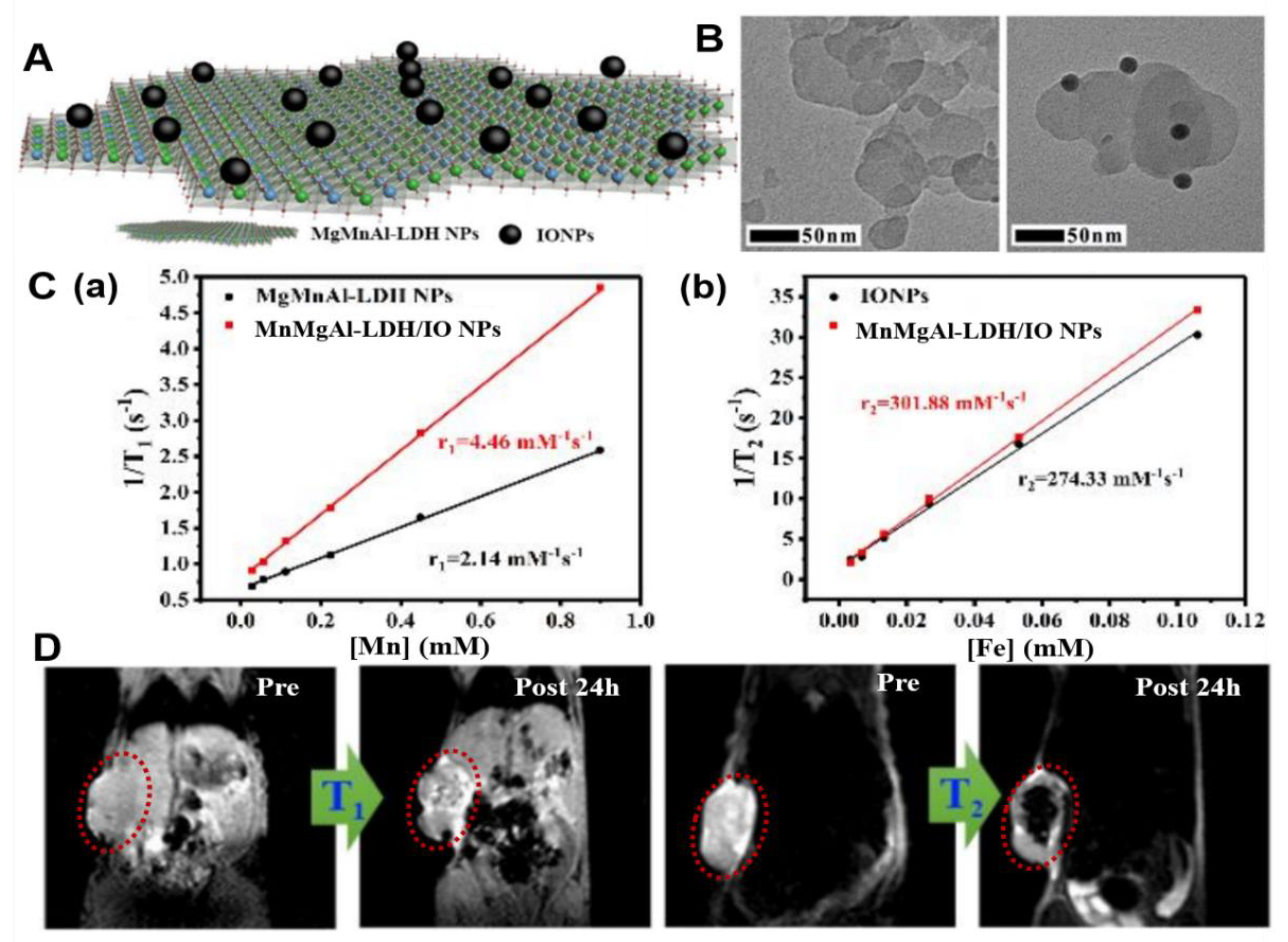 Nanomaterials 09 01404 g006