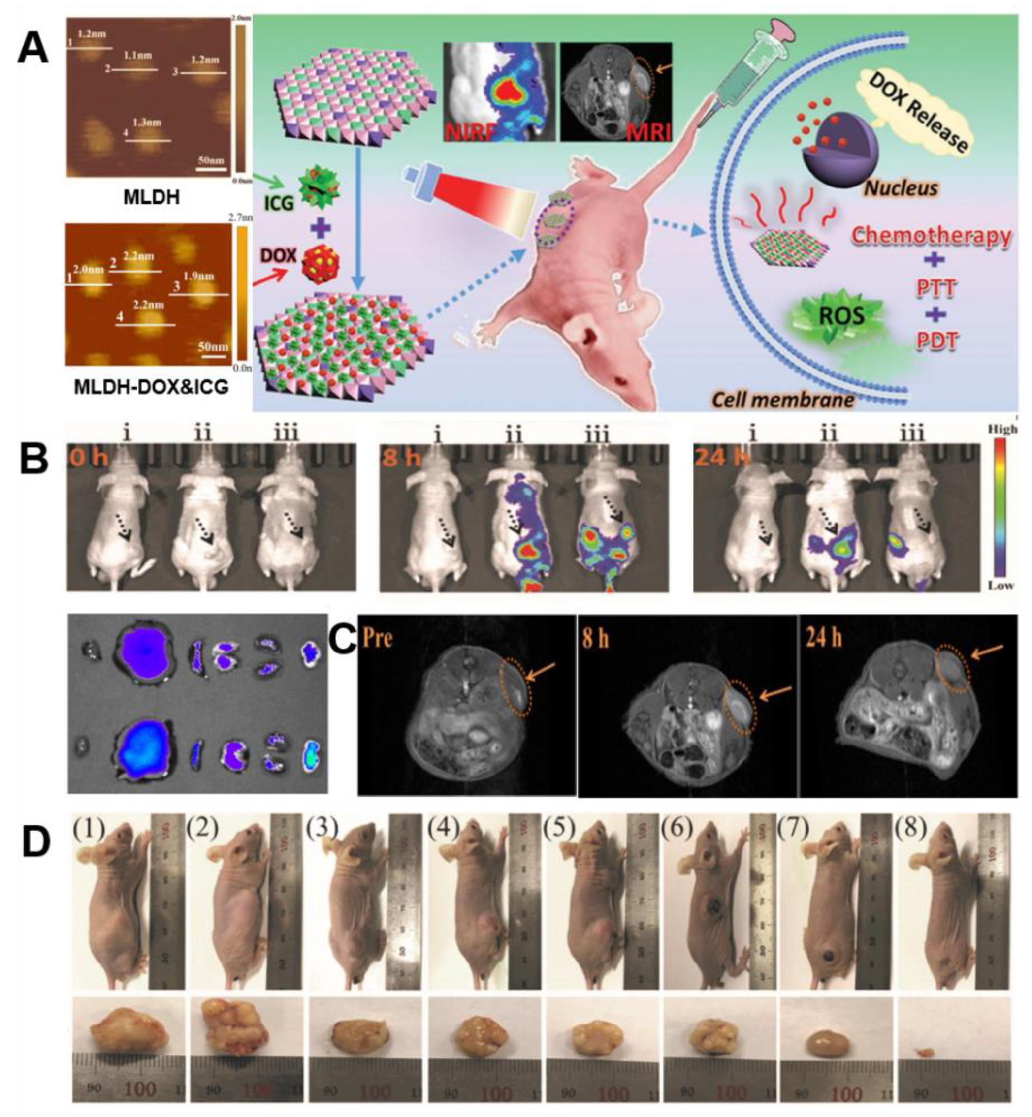 Nanomaterials 09 01404 g010